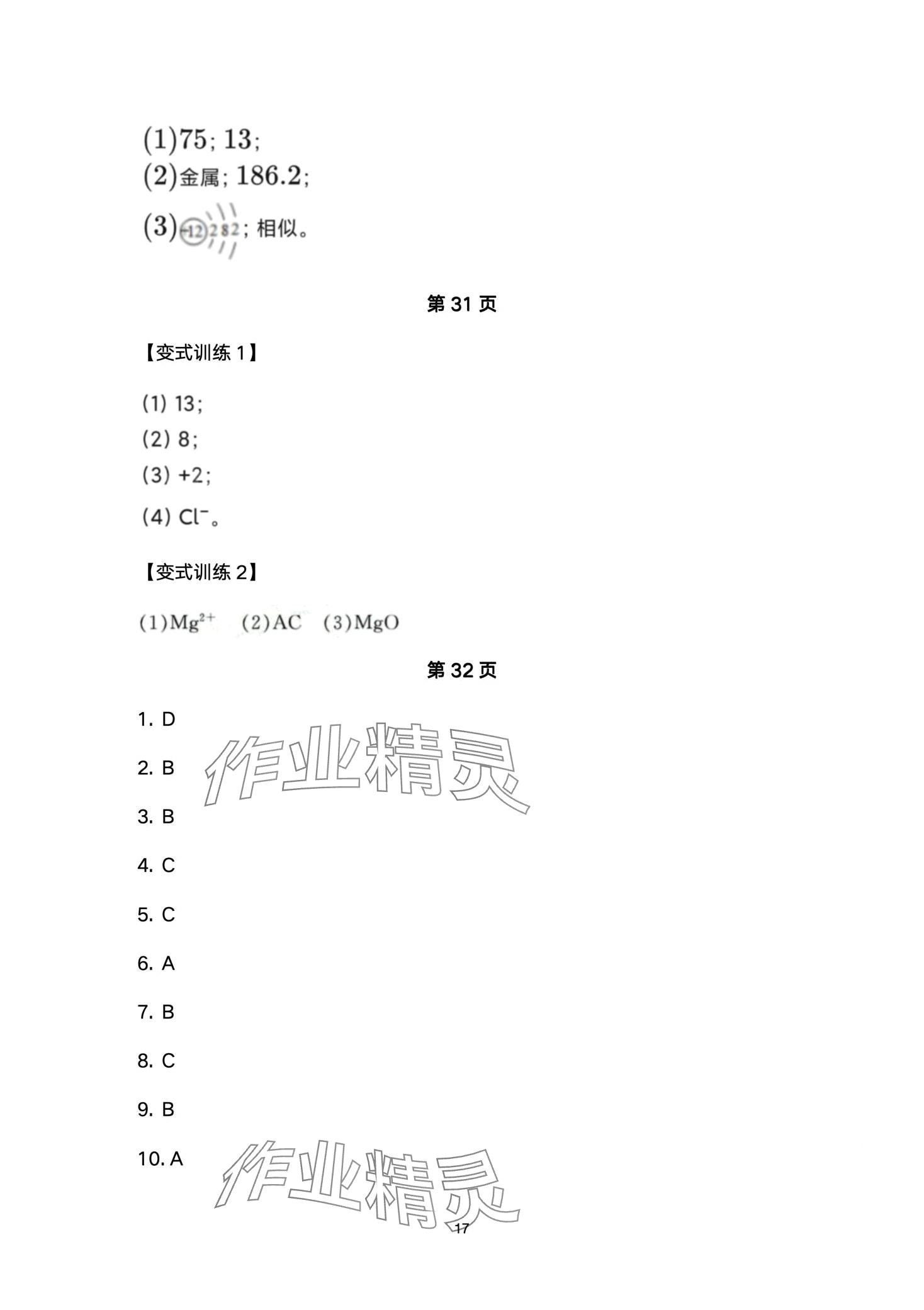 2024年剑指中考化学益阳专版 第17页