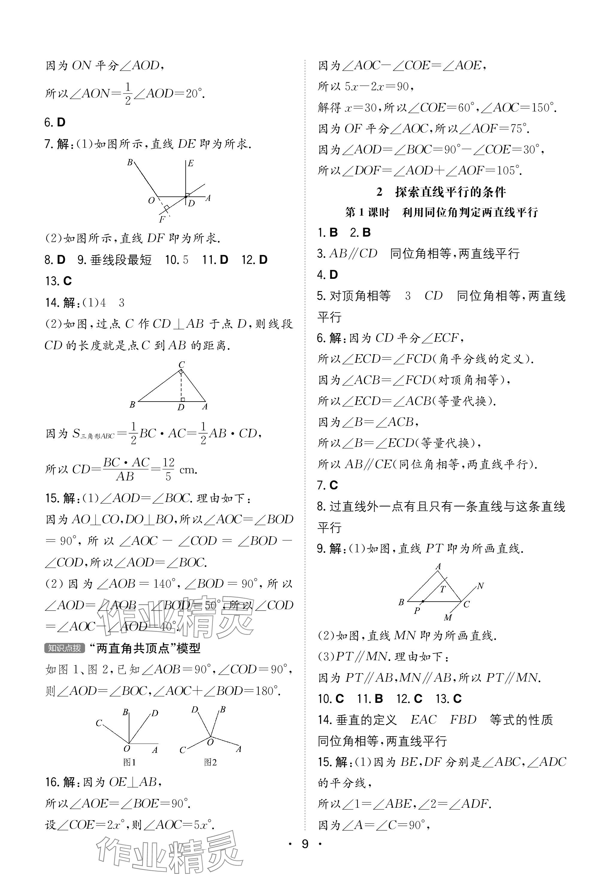 2024年一本同步训练七年级初中数学下册北师大版 参考答案第9页