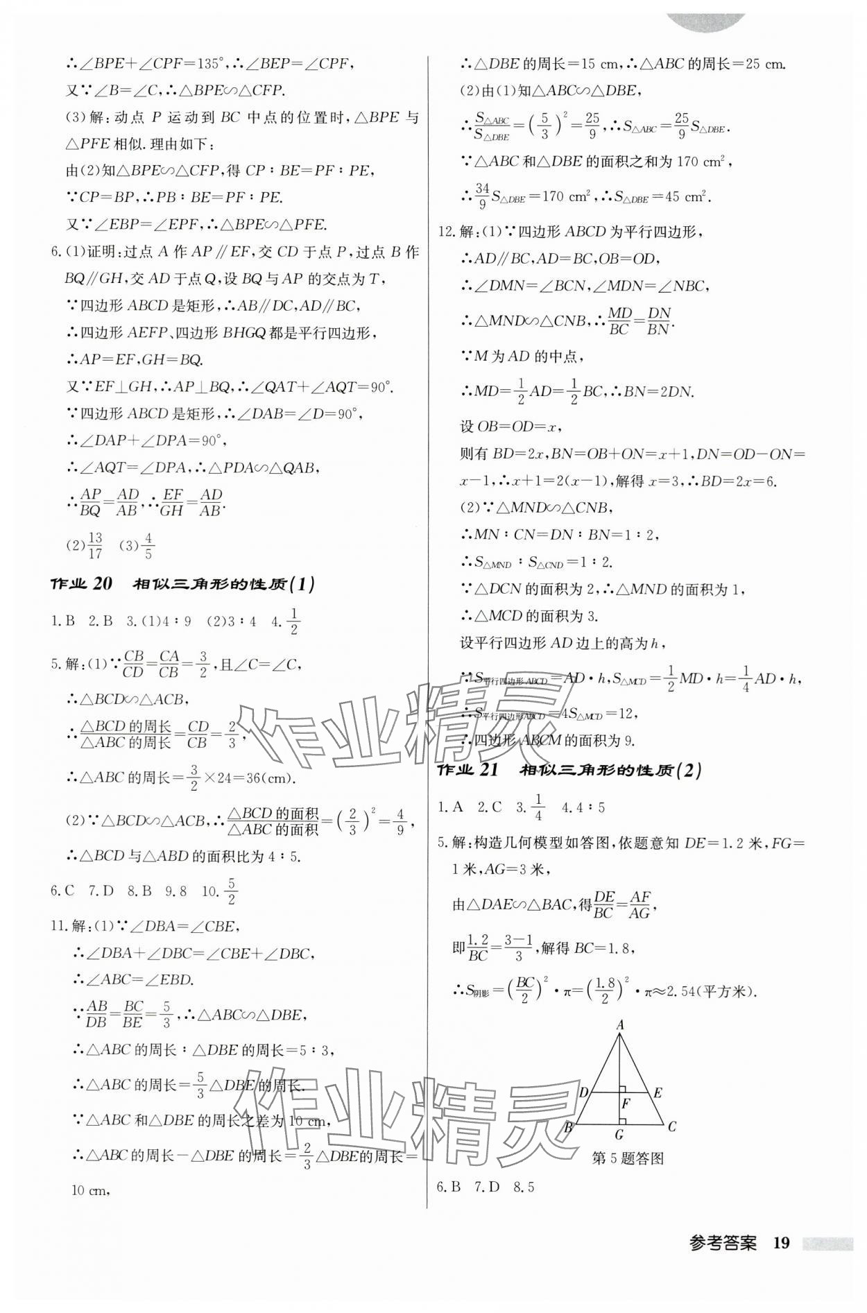 2024年启东中学作业本九年级数学下册苏科版宿迁专版 第19页
