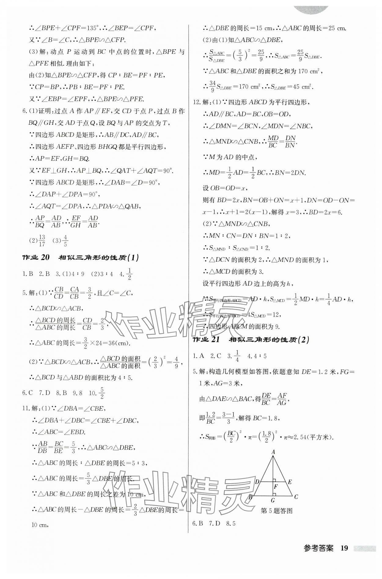 2024年啟東中學(xué)作業(yè)本九年級數(shù)學(xué)下冊蘇科版宿遷專版 第19頁