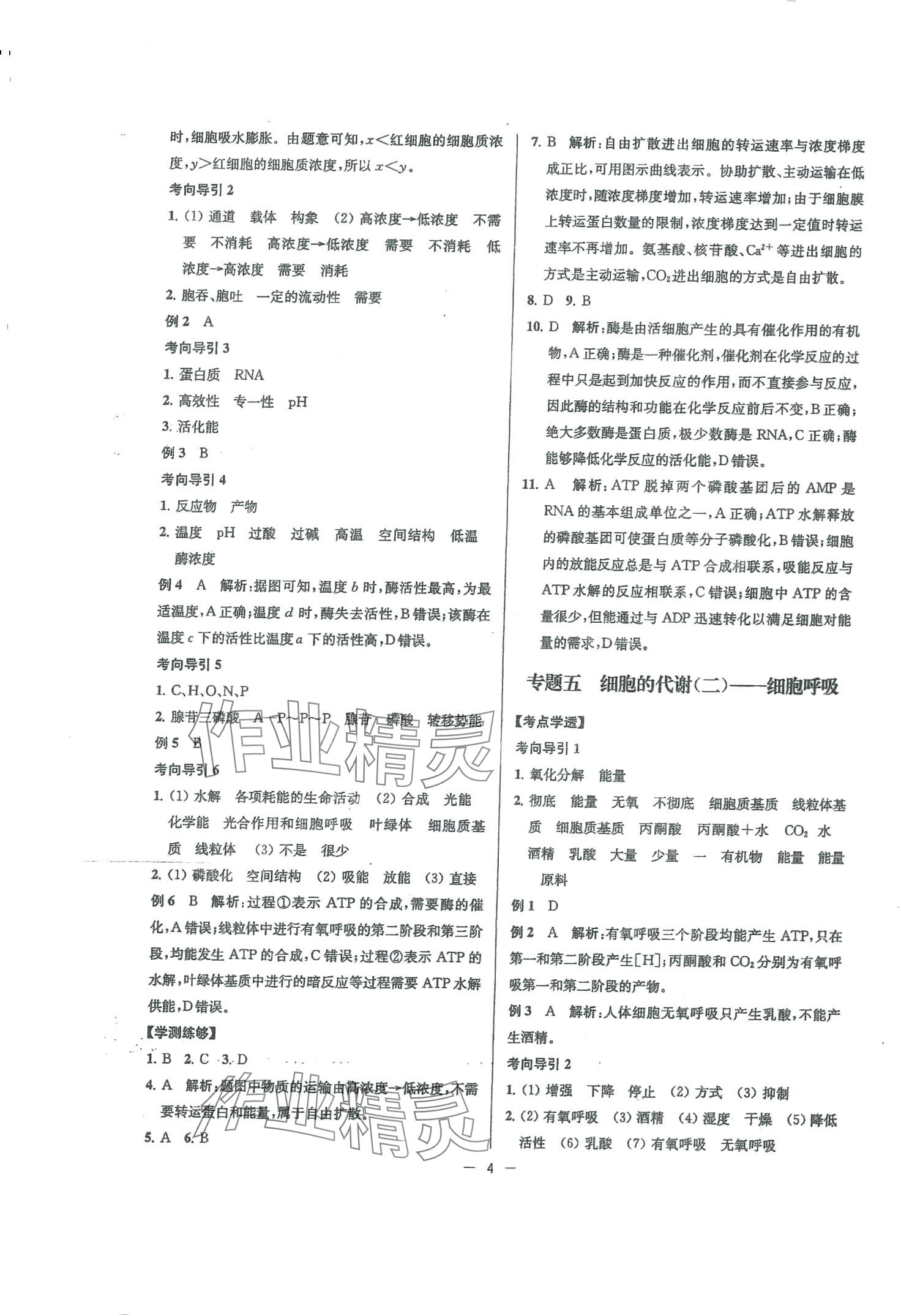 2024年高考总复习南方凤凰台高中生物 第4页