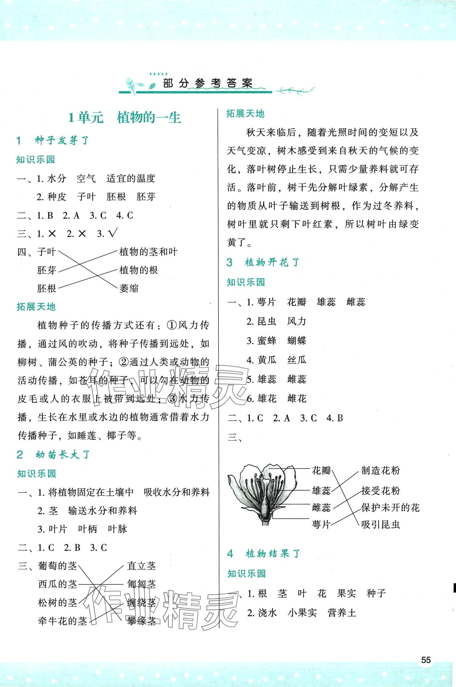 2024年新課程學(xué)習(xí)與評價三年級科學(xué)下冊蘇教版 第1頁