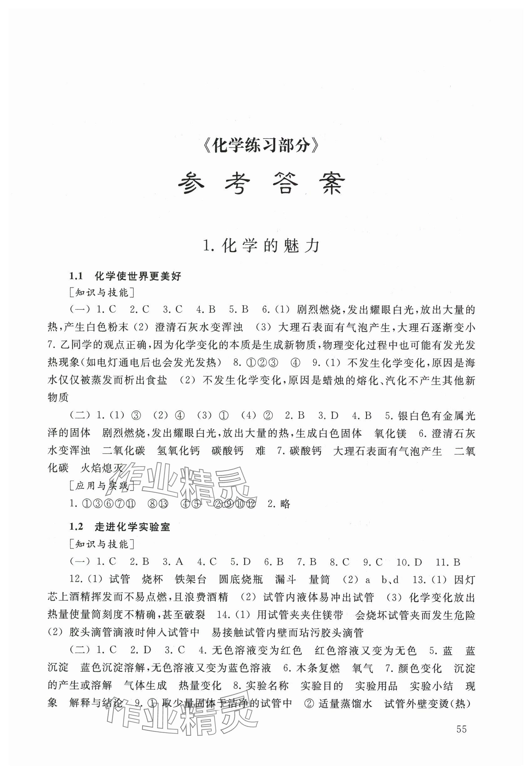 2024年練習(xí)部分九年級(jí)化學(xué)上冊滬教版54制 參考答案第1頁