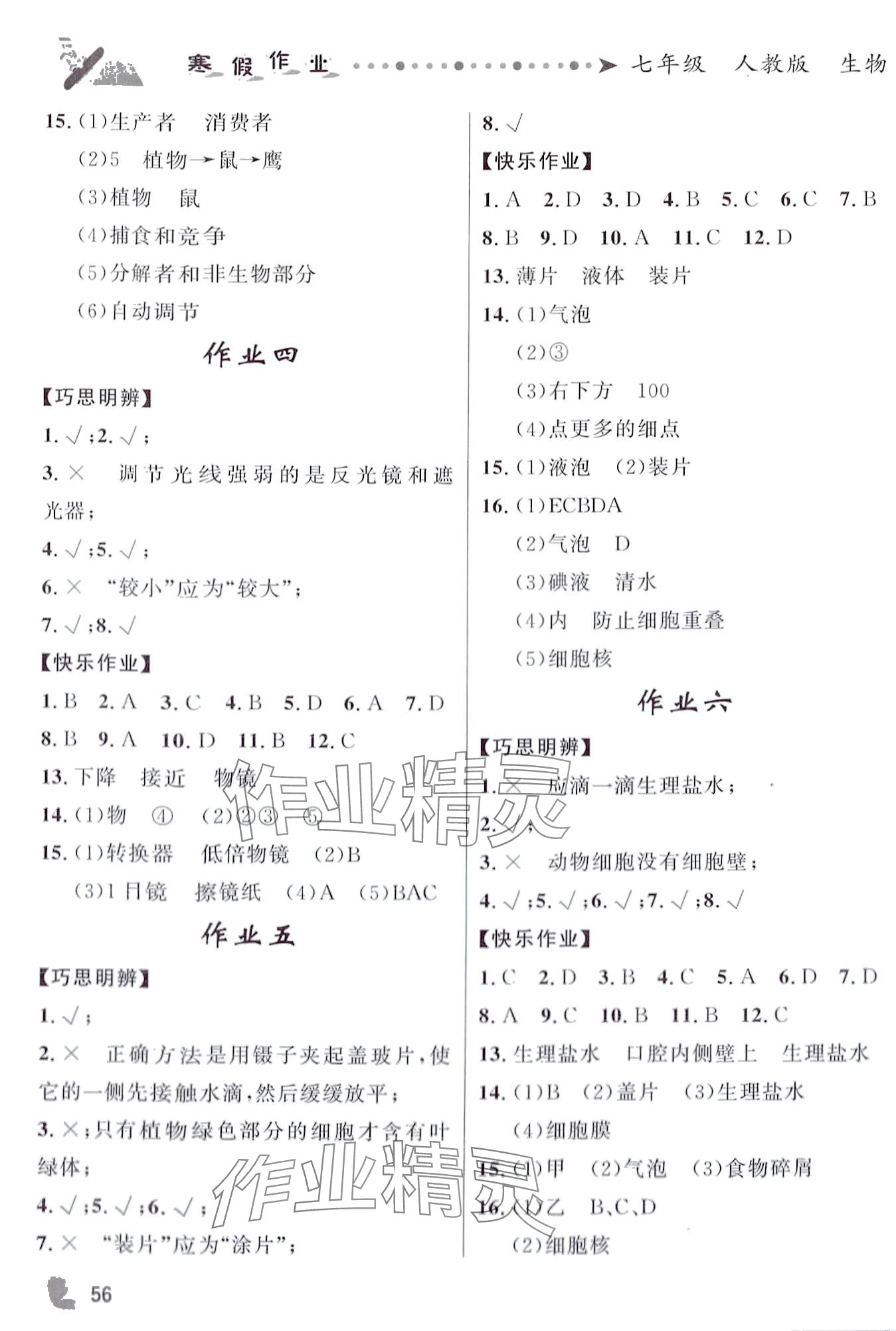 2024年藍博士寒假作業(yè)甘肅少年兒童出版社七年級生物人教版 第2頁