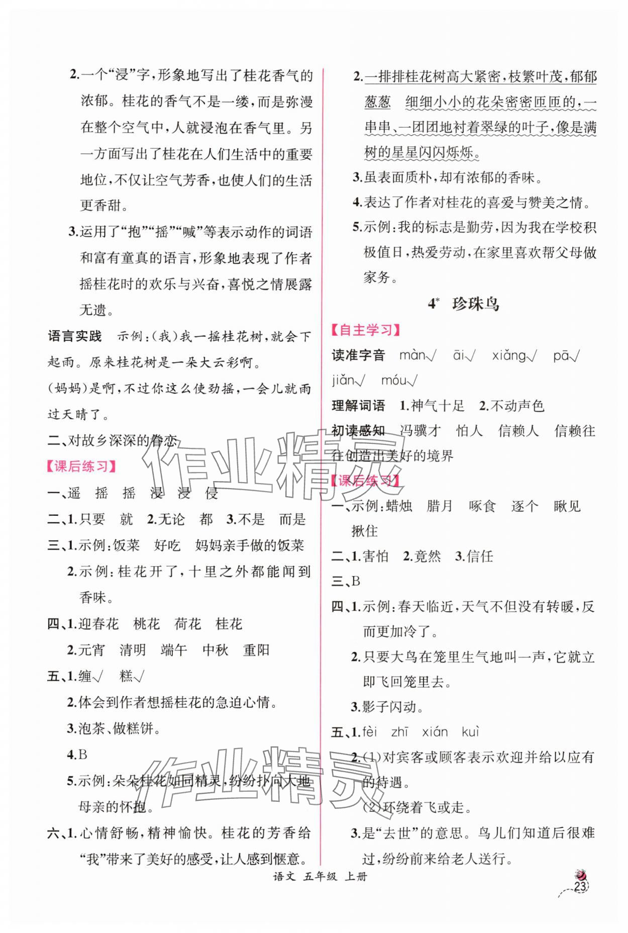 2024年同步導(dǎo)學(xué)案課時練五年級語文上冊人教版 第3頁