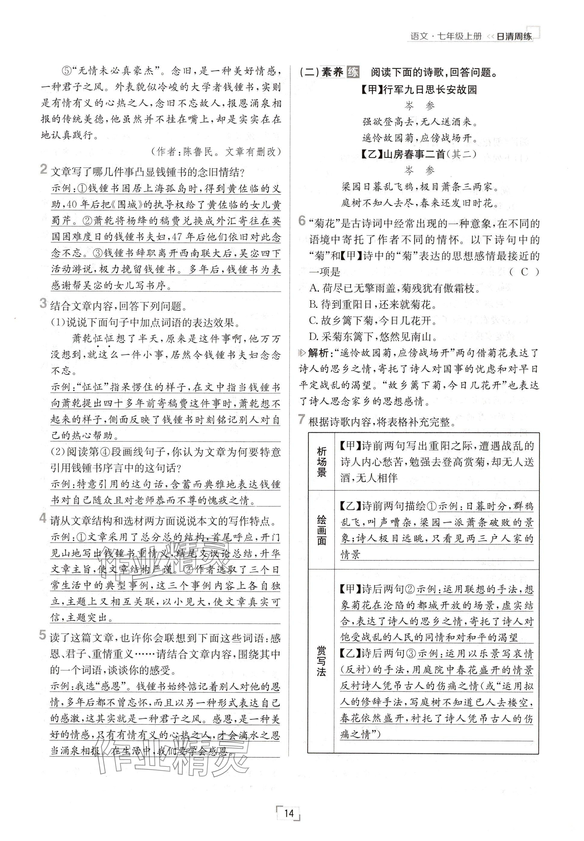 2024年日清周練七年級語文上冊人教版 參考答案第14頁