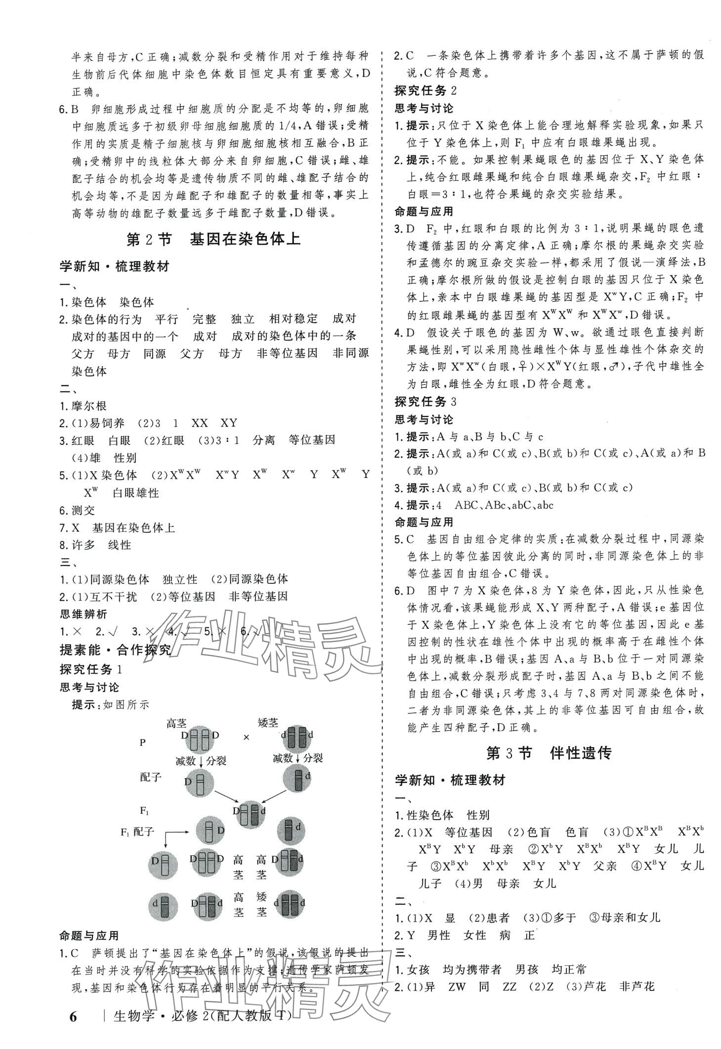 2024年高考领航高中生物必修2人教版 第6页