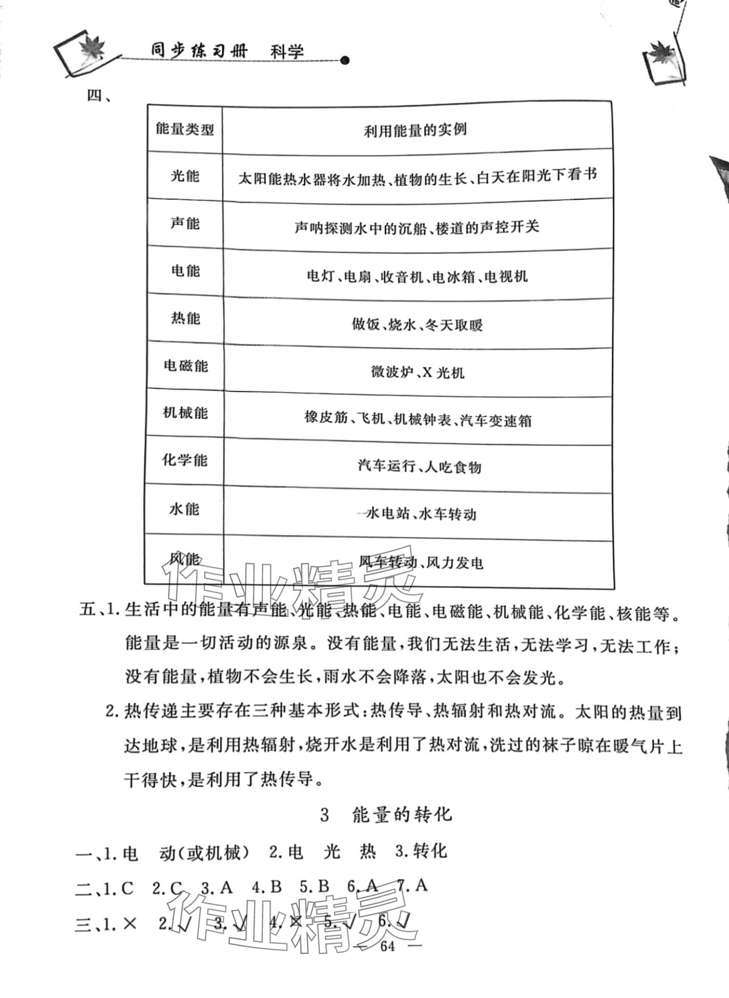 2024年同步练习册山东科学技术出版社六年级下册苏教版 第2页