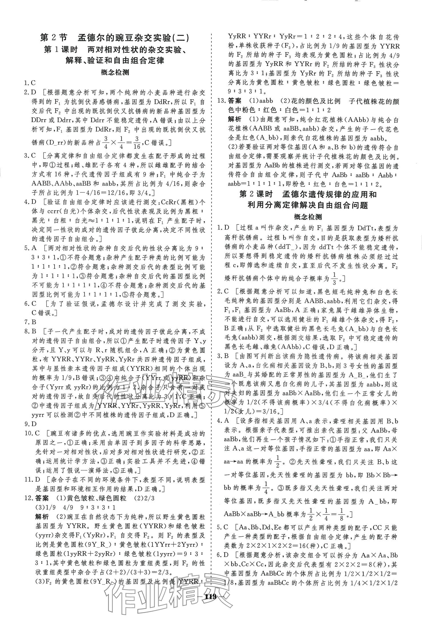 2024年金版教程高中新课程学习作业与测评高中生物必修2人教版 第4页