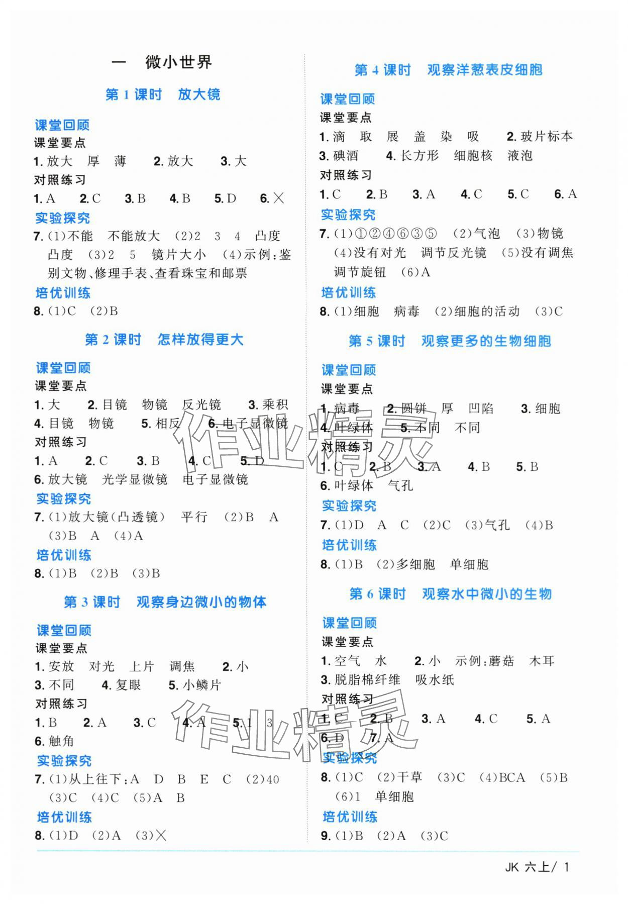 2024年陽(yáng)光同學(xué)課時(shí)優(yōu)化作業(yè)六年級(jí)科學(xué)上冊(cè)教科版 第1頁(yè)