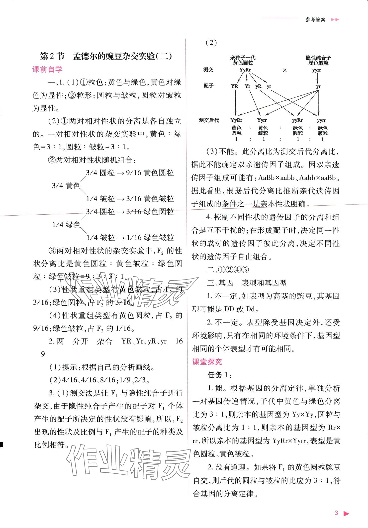 2024年普通高中新課程同步練習(xí)冊(cè)高中生物必修2人教版 第3頁(yè)