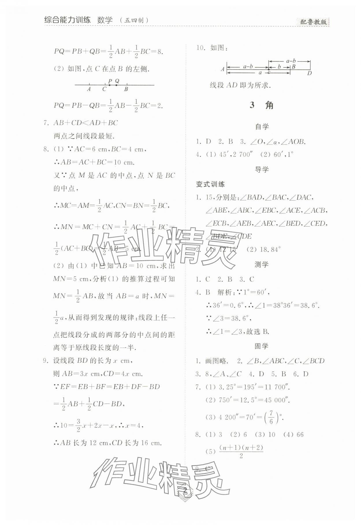 2024年综合能力训练六年级数学下册鲁教版54制 参考答案第2页