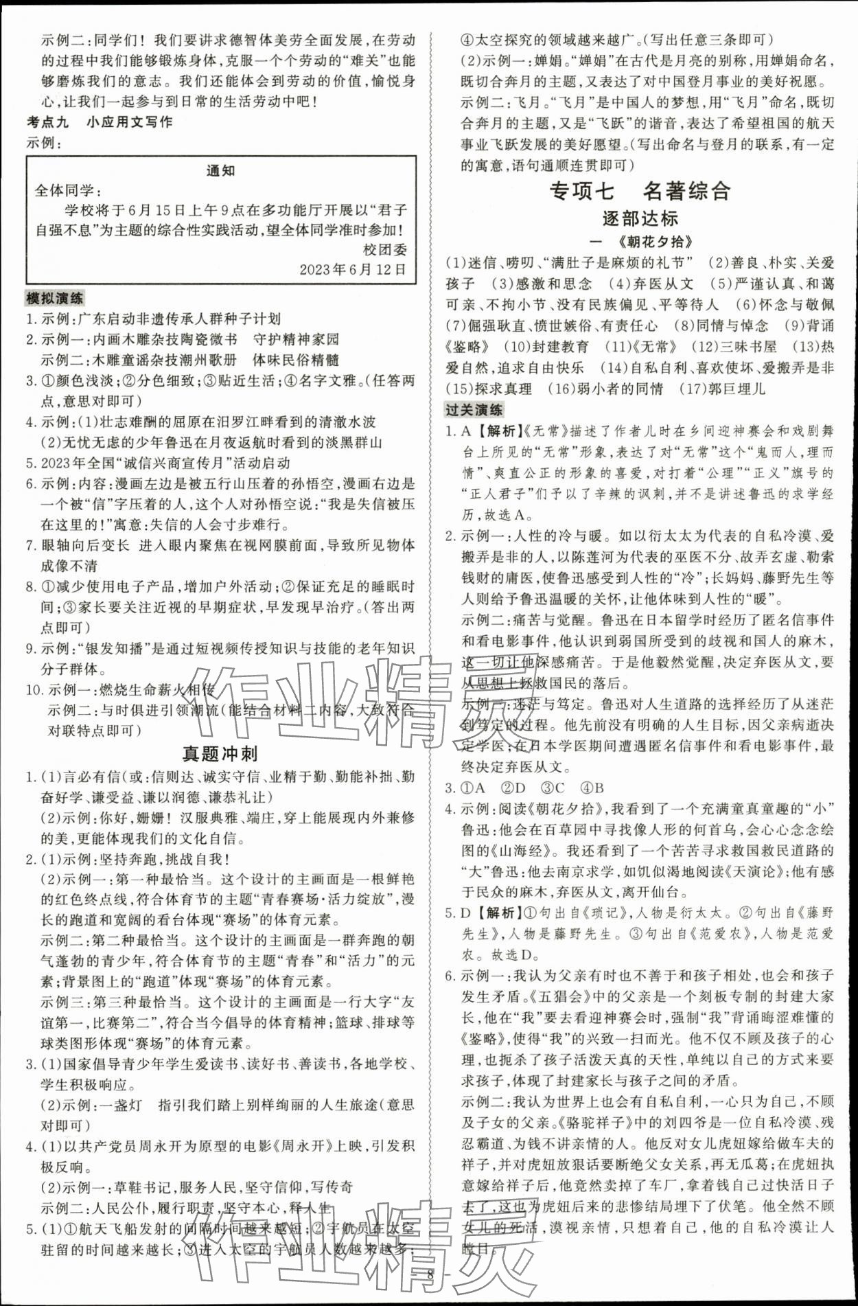 2024年中考冲刺语文广东专版 第8页