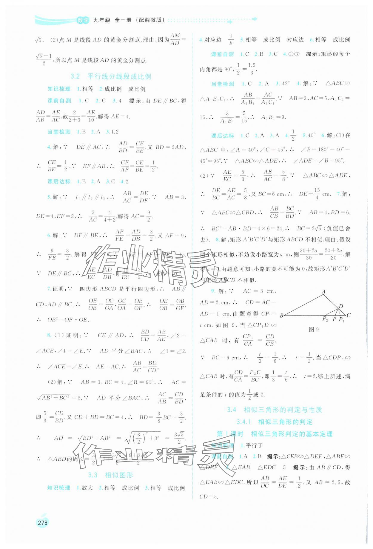 2024年新課程學習與測評同步學習九年級數(shù)學全一冊湘教版 第10頁