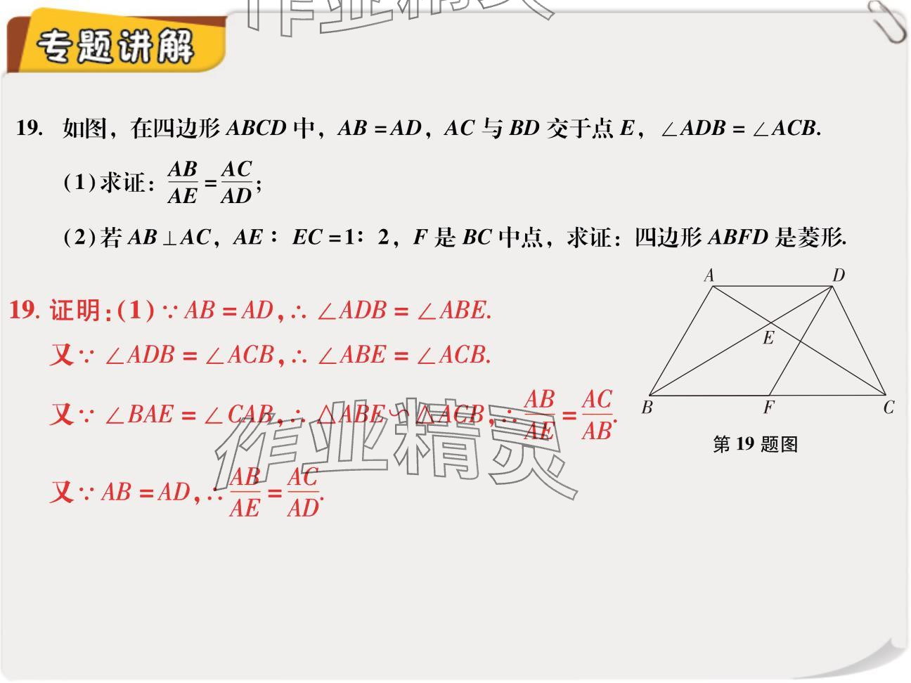 2024年复习直通车期末复习与假期作业九年级数学北师大版 参考答案第18页