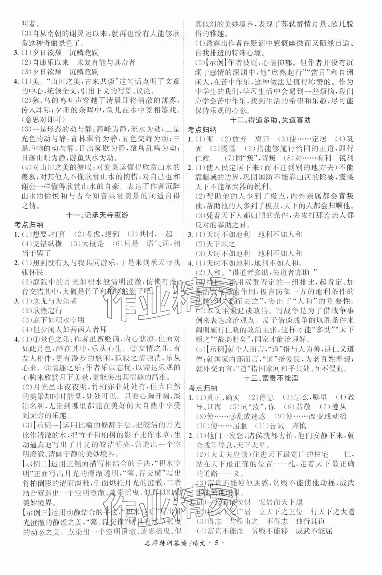 2024年名师特训语文安徽专版 第5页