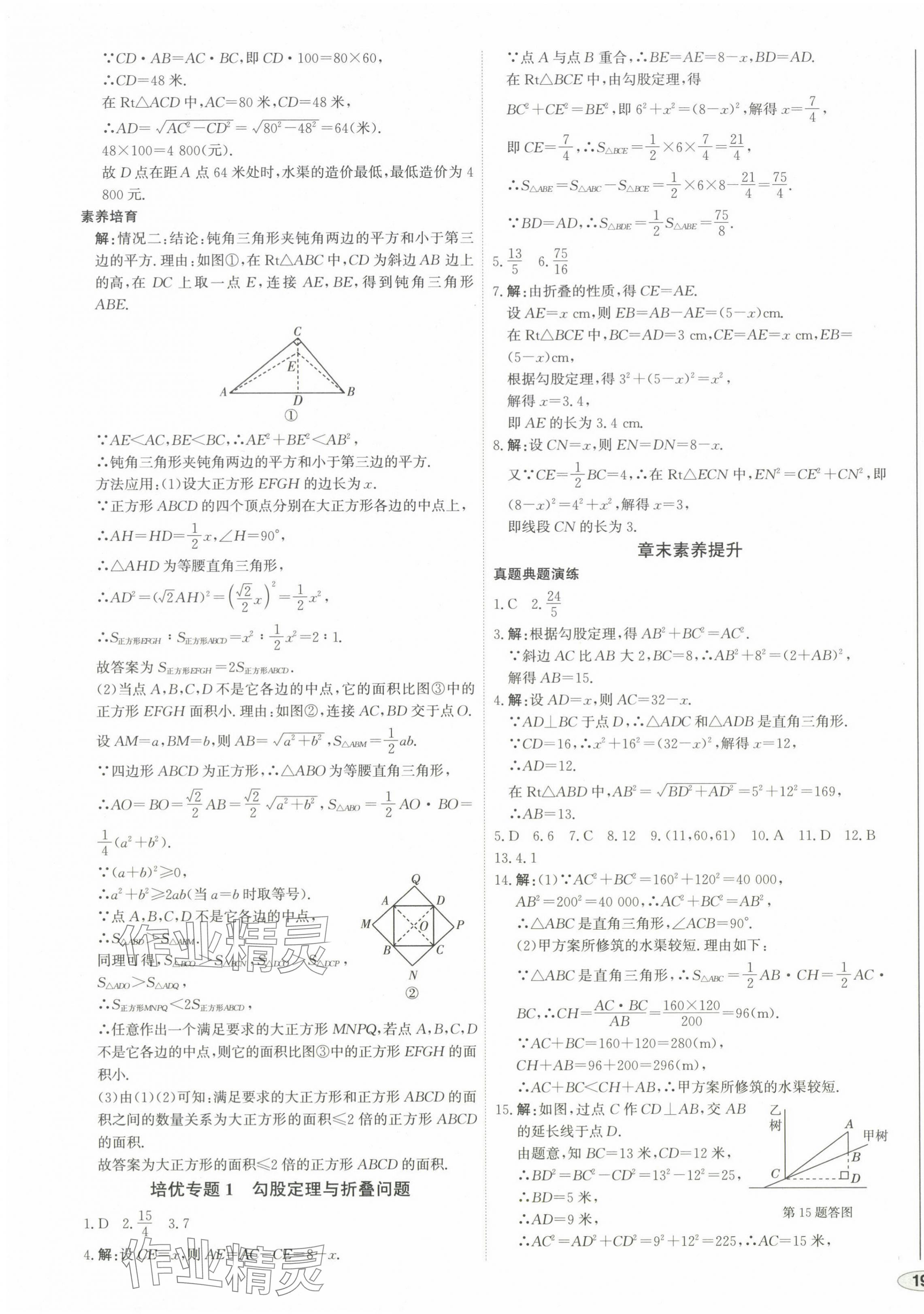 2024年中考档案初中同步学案导学八年级数学上册北师大版青岛专版 第3页