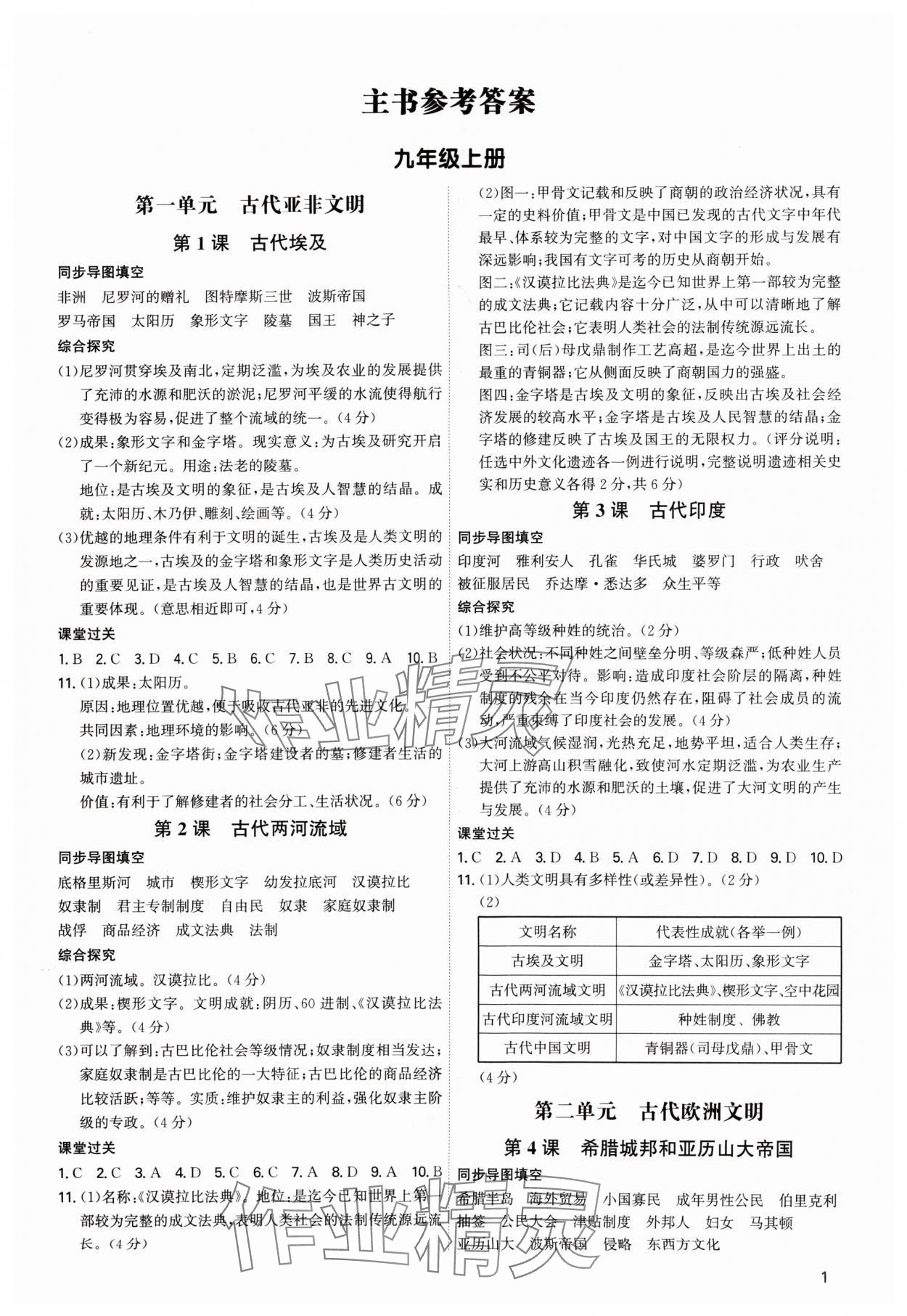 2024年新結(jié)構(gòu)學(xué)習(xí)測評九年級歷史全一冊人教版 第1頁