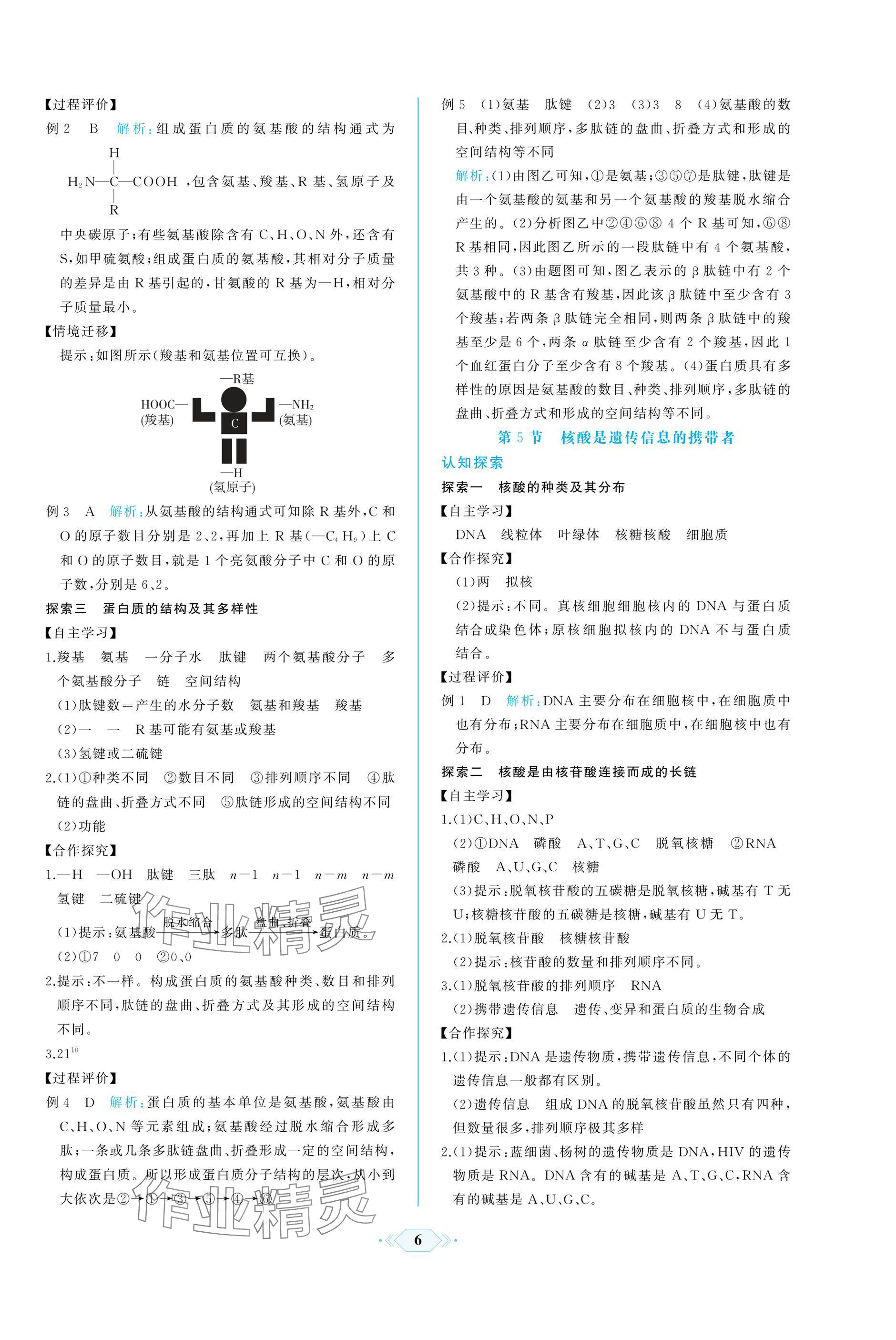 2024年同步解析與測評課時練人民教育出版社高中生物必修1人教版增強版 參考答案第6頁