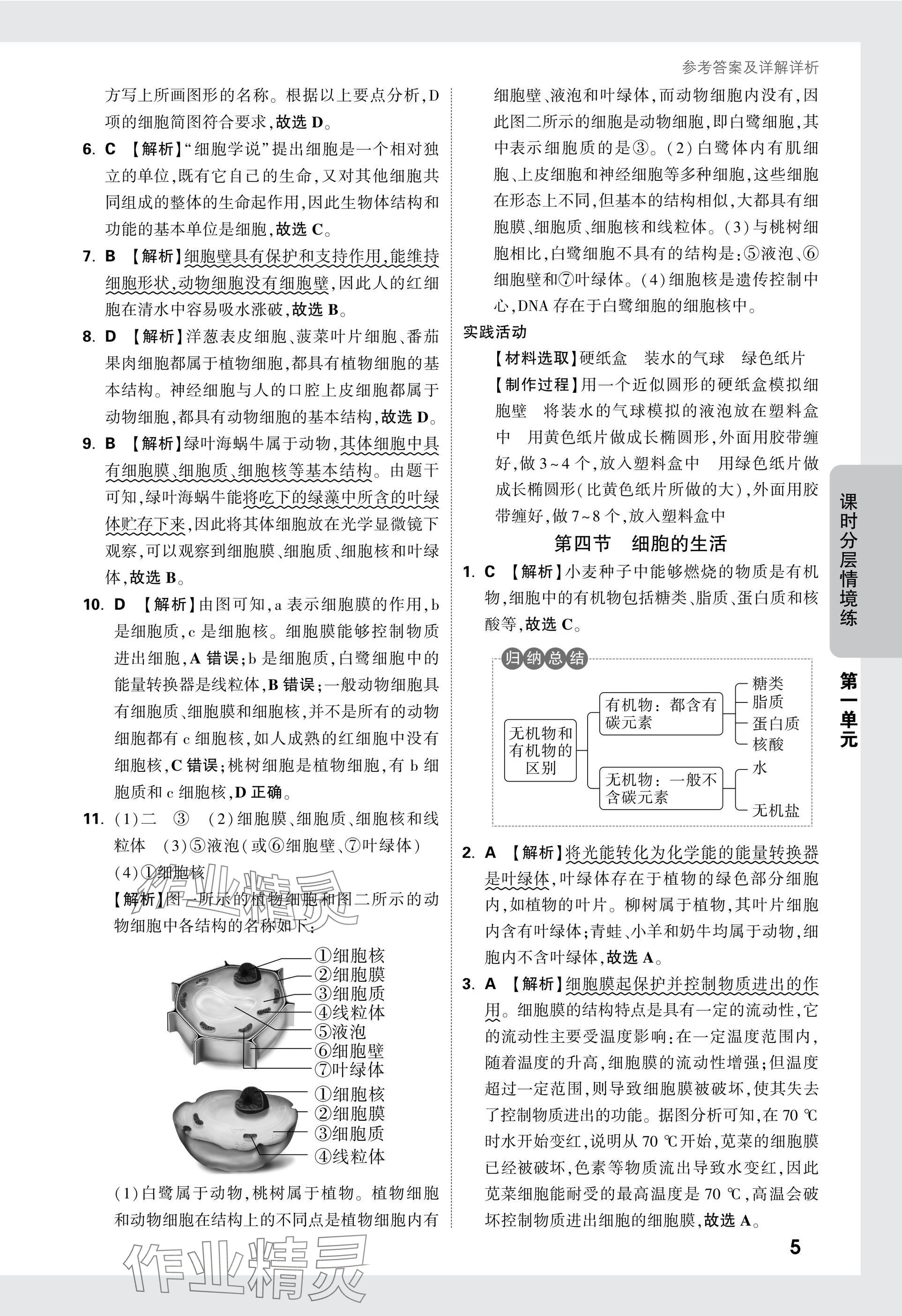 2025版萬(wàn)唯中考情境題七年級(jí)生物上冊(cè)人教版 參考答案第5頁(yè)