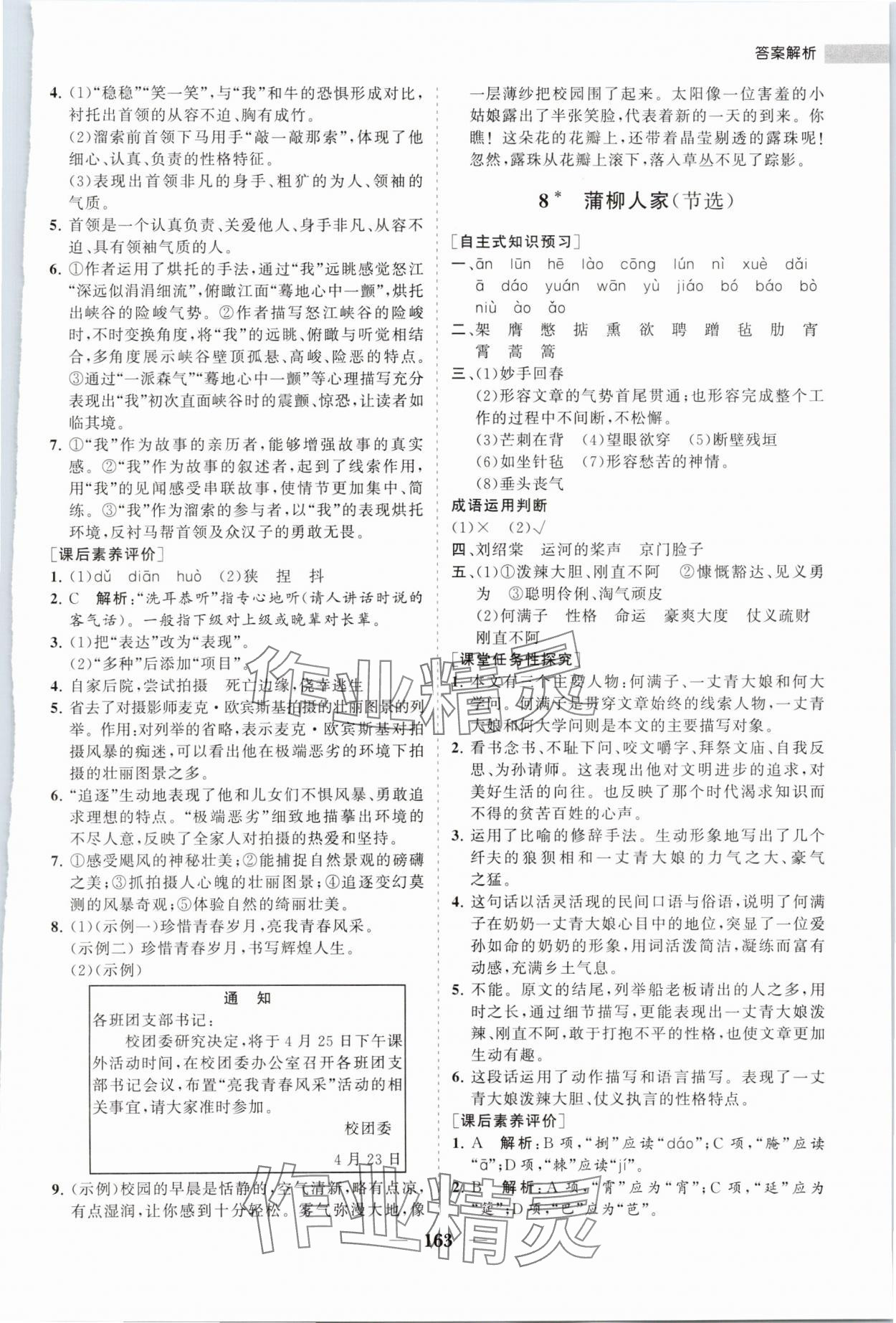 2024年新课程同步练习册九年级语文下册人教版&nbsp;第9页