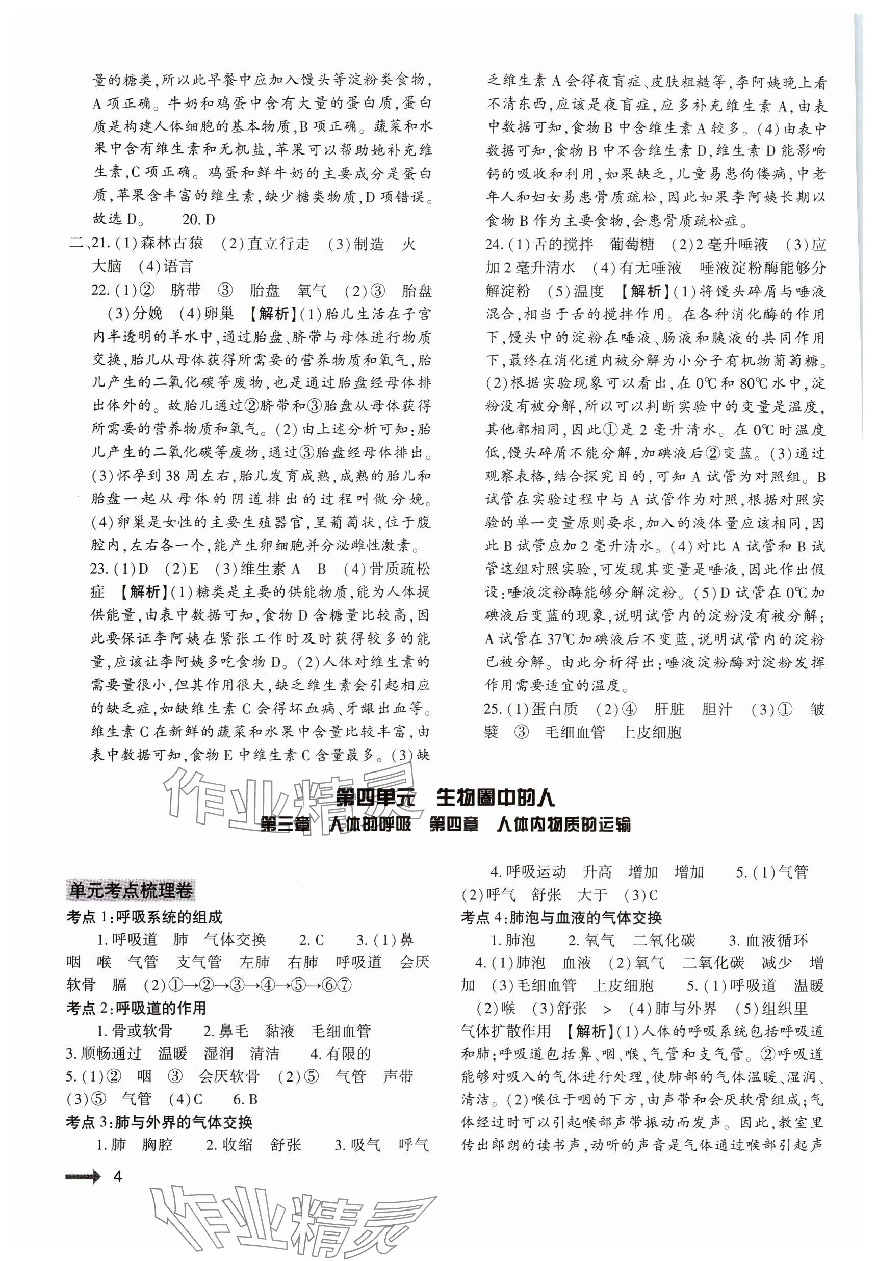 2024年節(jié)節(jié)高大象出版社七年級生物下冊人教版 參考答案第4頁