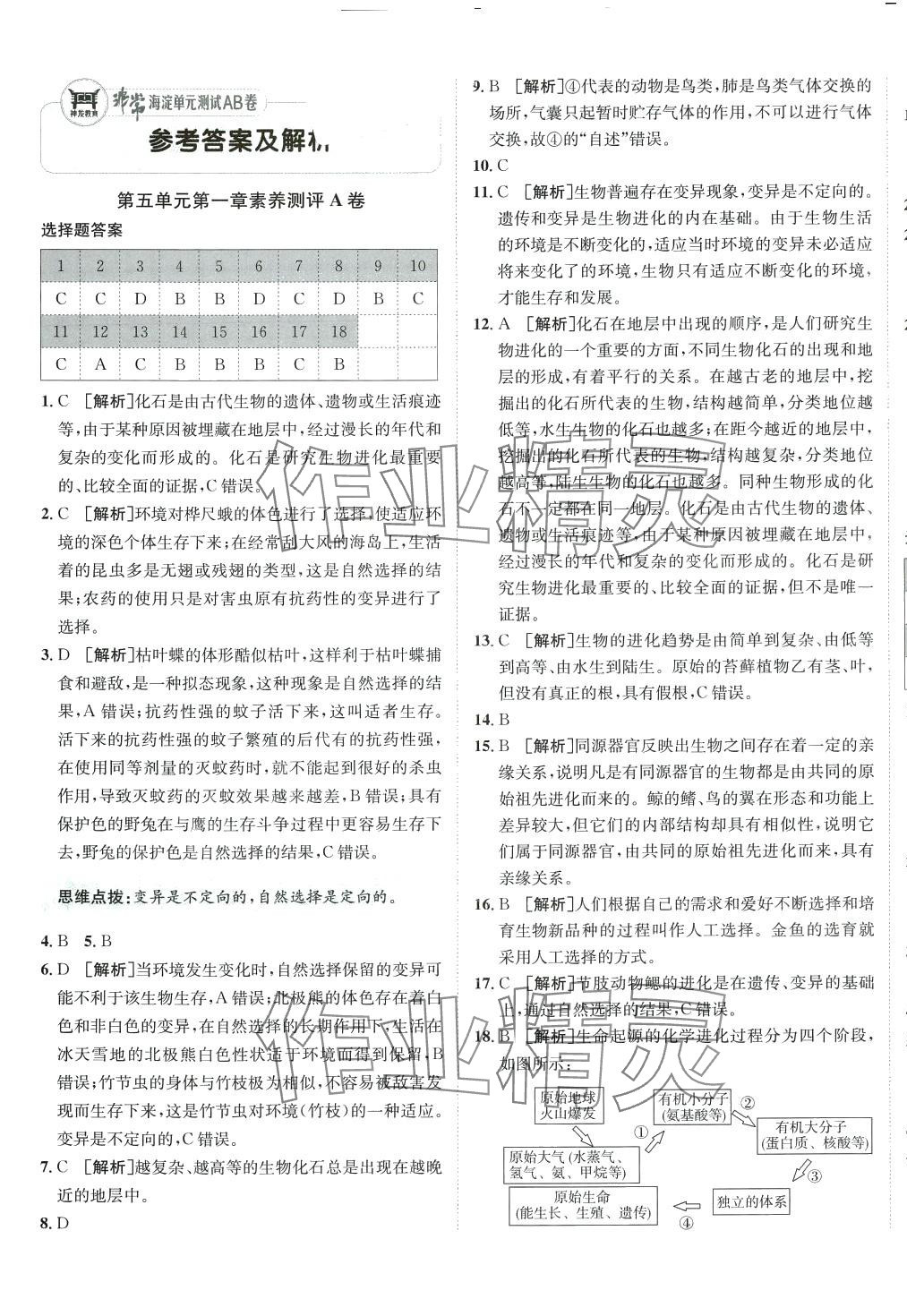 2024年海淀单元测试AB卷八年级生物下册济南版 第1页