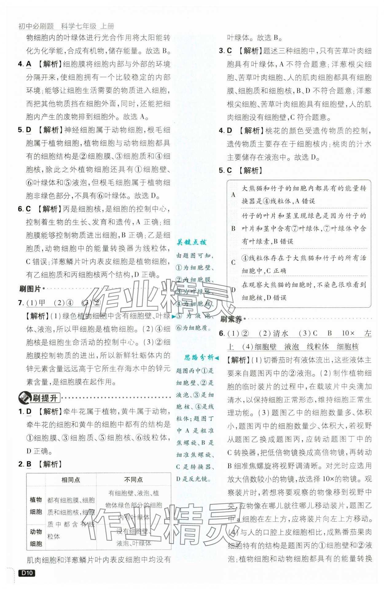 2024年初中必刷題七年級科學上冊浙教版浙江專版 第10頁