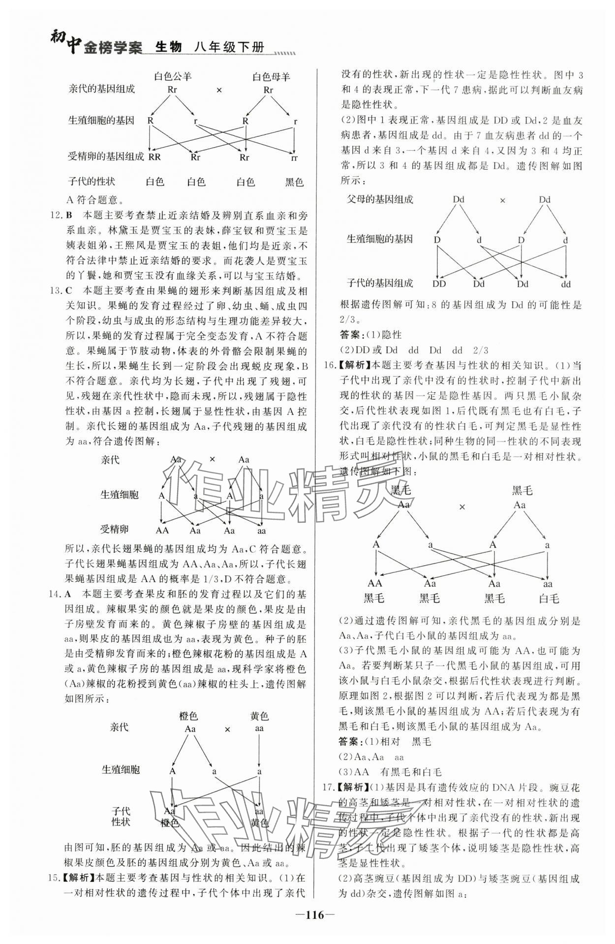 2024年世紀(jì)金榜金榜學(xué)案八年級(jí)生物下冊(cè)人教版河南專(zhuān)版 參考答案第7頁(yè)