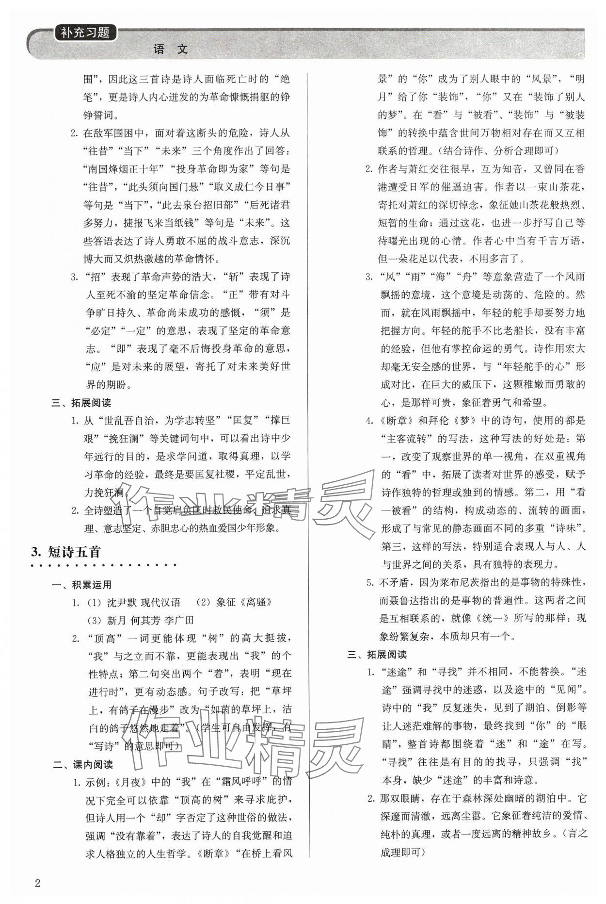 2024年補充習(xí)題九年級語文下冊人教版人民教育出版社 第2頁