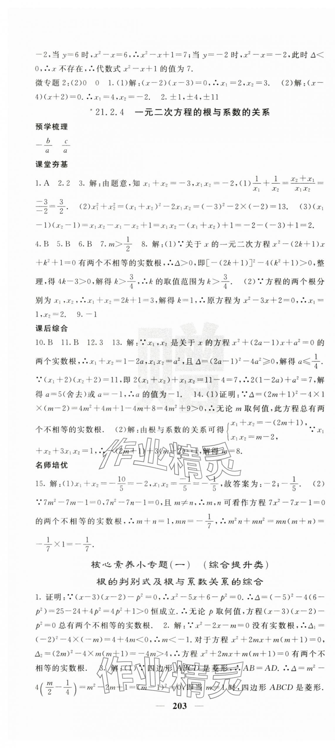 2024年名校课堂内外九年级数学上册人教版 第4页