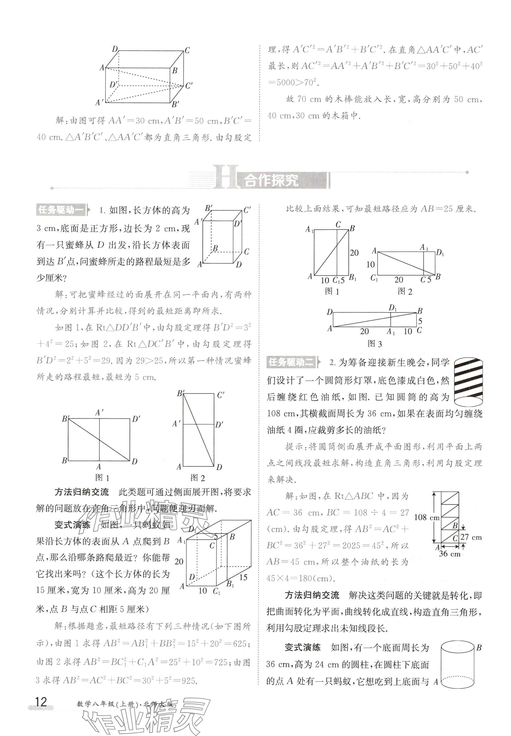 2024年金太阳导学案八年级数学上册北师大版 参考答案第12页