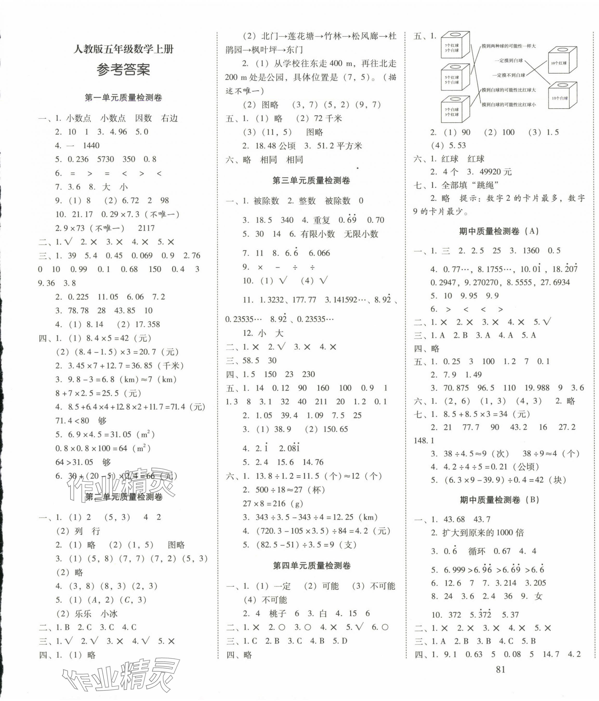 2024年云南师大附小一线名师核心试卷五年级数学上册人教版 第1页