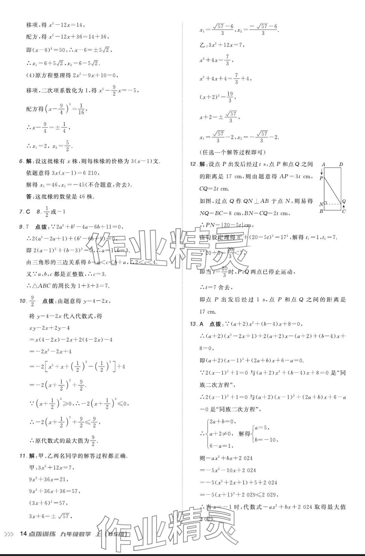 2024年點(diǎn)撥訓(xùn)練九年級數(shù)學(xué)上冊北師大版 參考答案第13頁