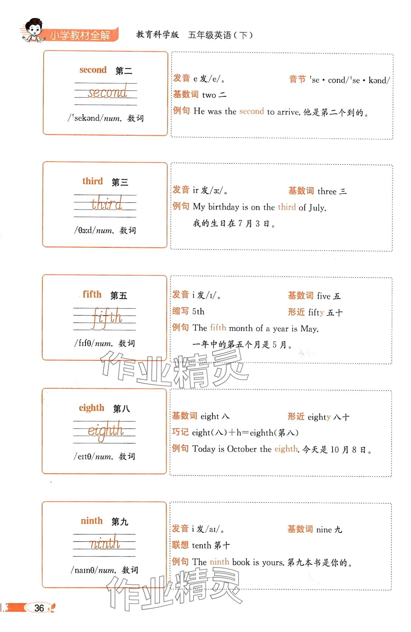 2024年教材課本五年級(jí)英語(yǔ)下冊(cè)教科版 第36頁(yè)