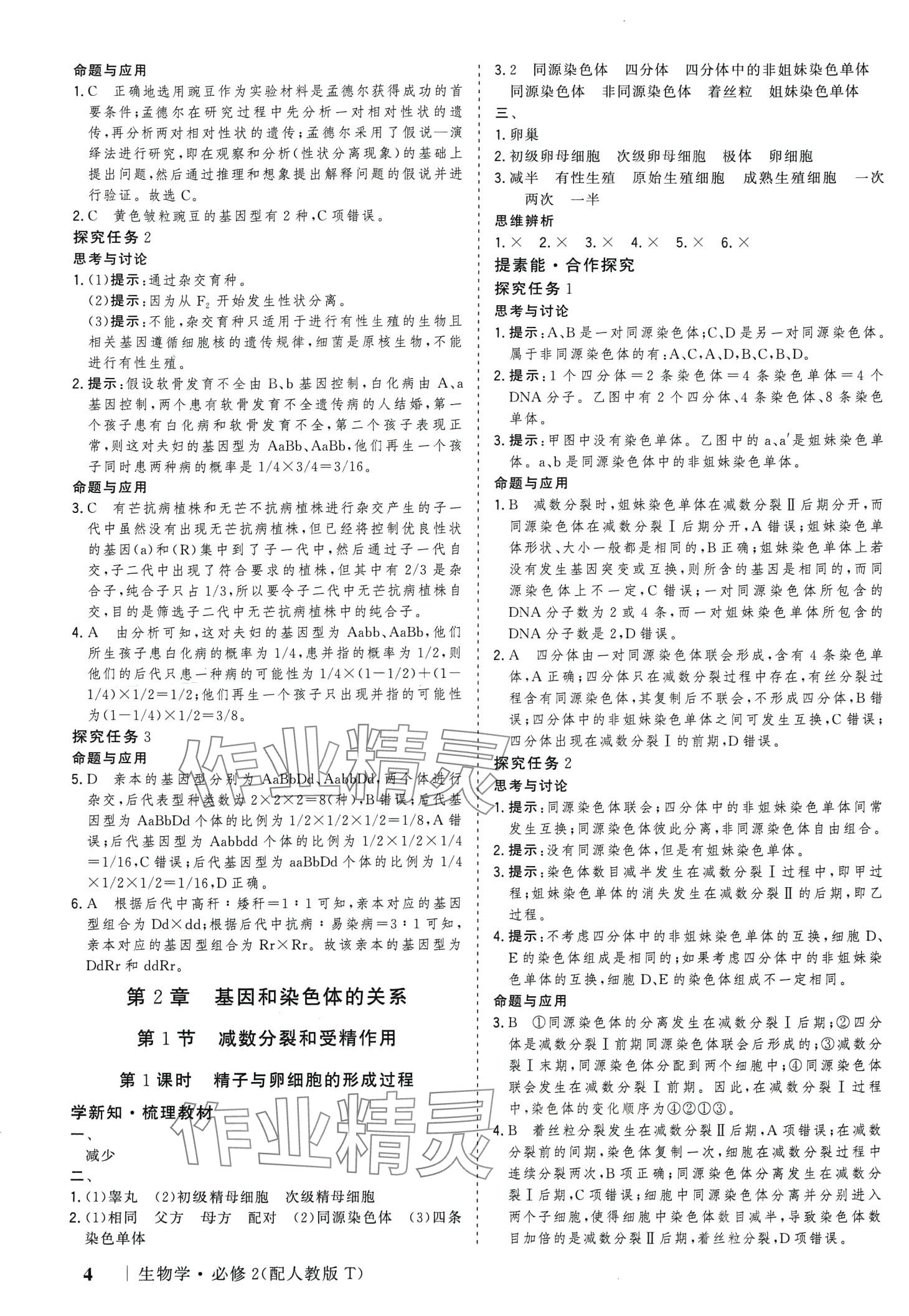 2024年高考领航高中生物必修2人教版 第4页