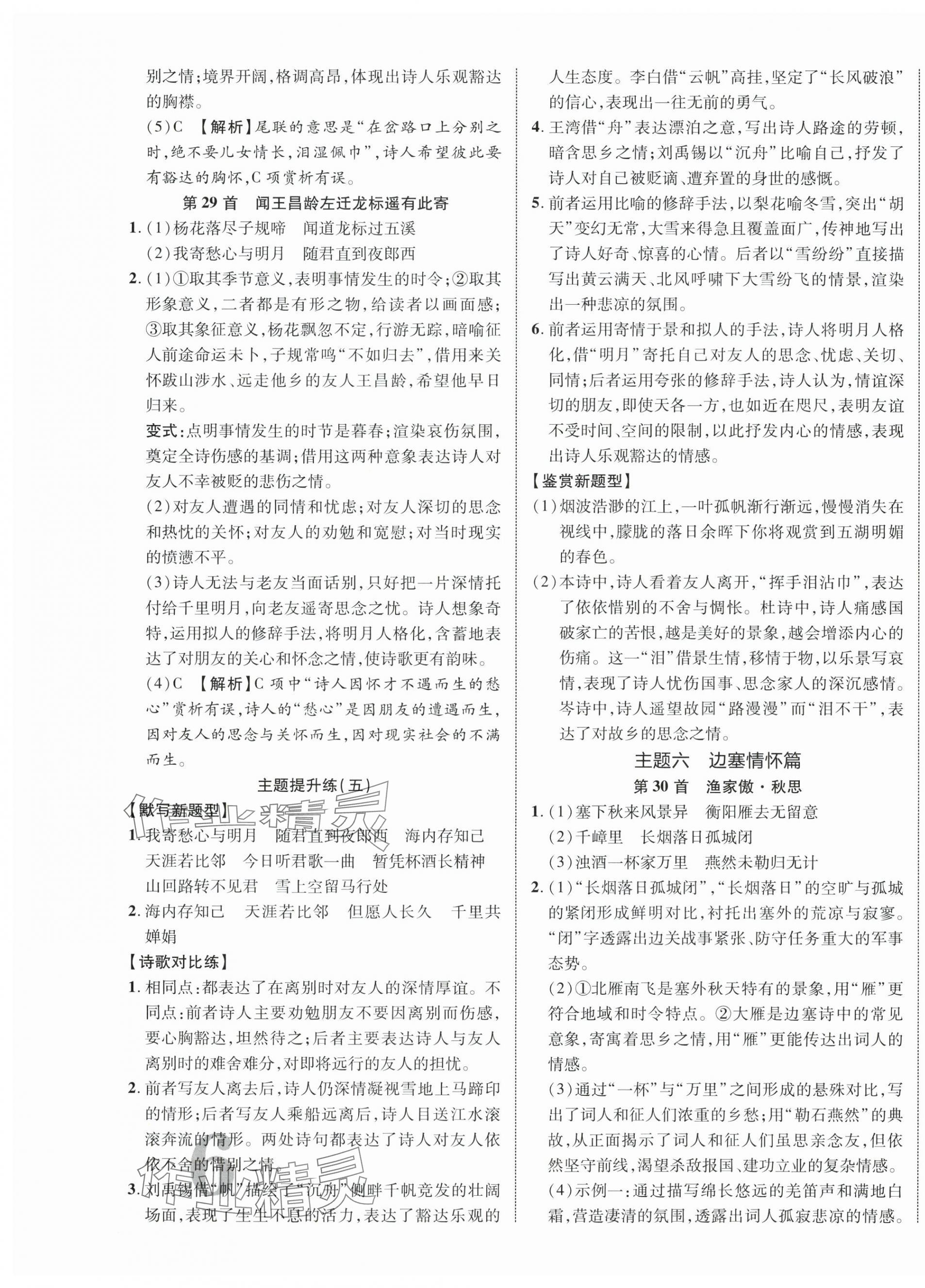 2024年中教联云南中考新突破语文 第11页