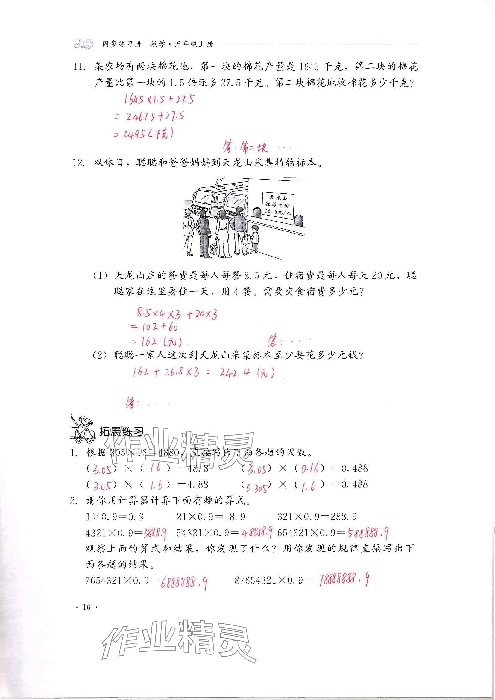 2024年同步練習(xí)冊河北教育出版社五年級數(shù)學(xué)上冊冀教版 參考答案第16頁