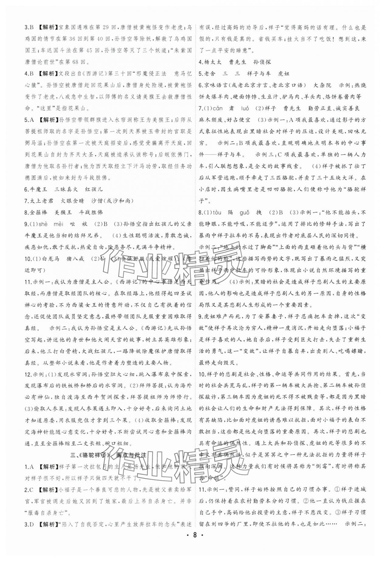 2024年决胜中考语文安徽专版 参考答案第8页