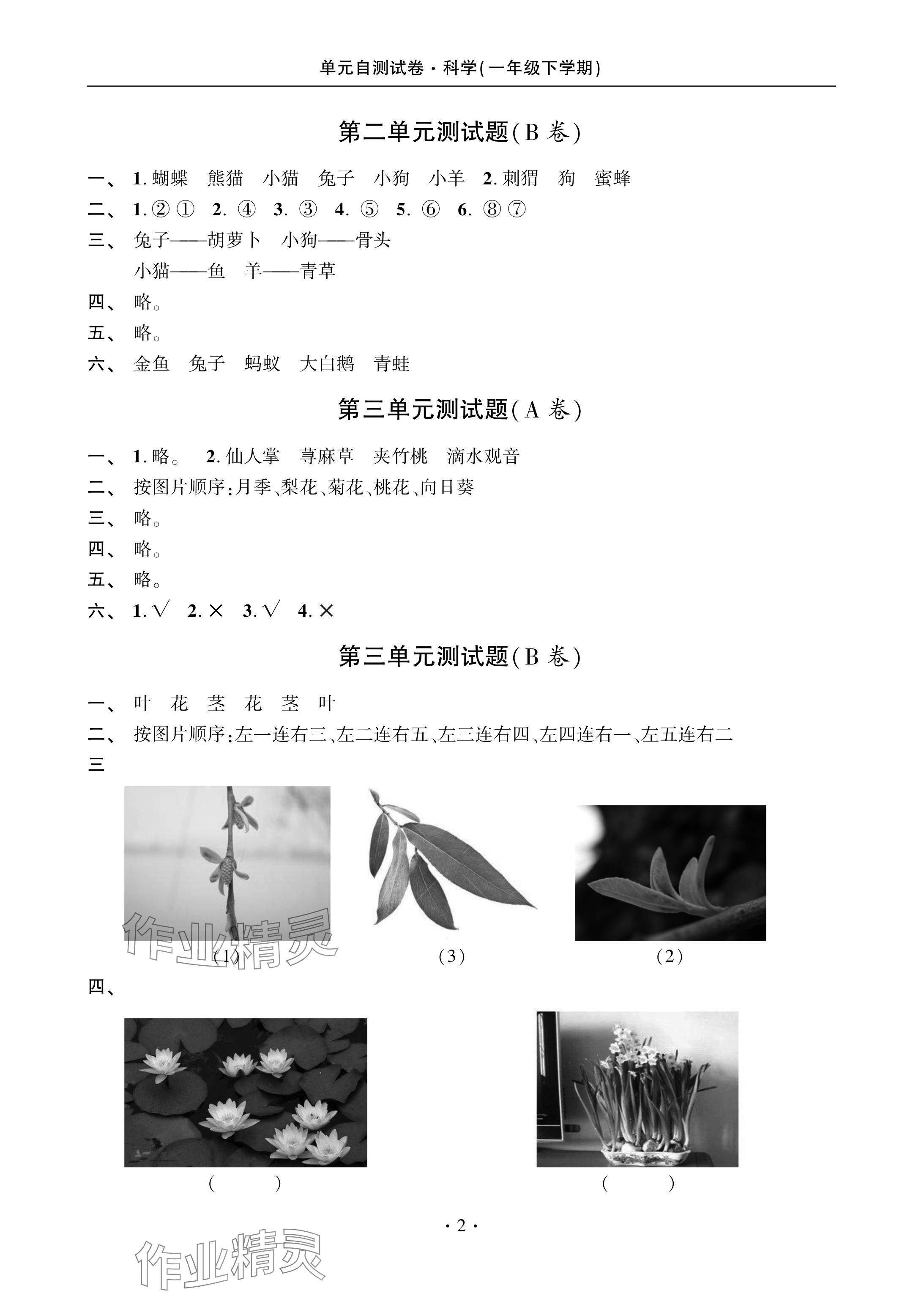 2024年单元自测试卷青岛出版社一年级科学下册青岛版 参考答案第2页