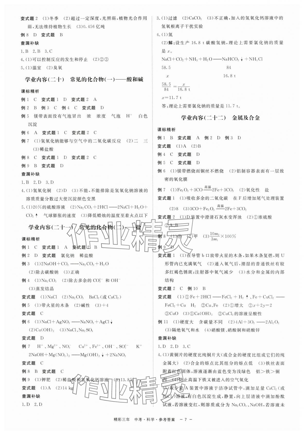 2024年精彩三年中考总复习科学 第7页