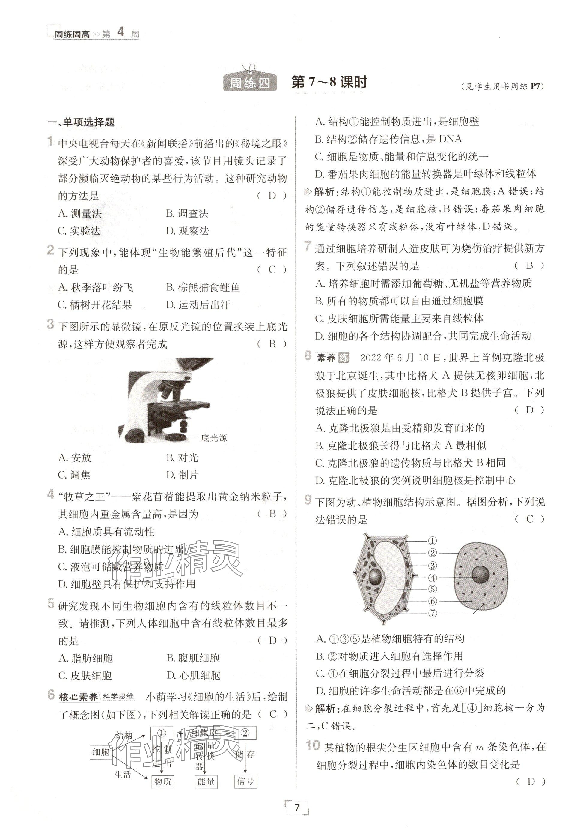 2024年日清周練七年級生物上冊人教版 參考答案第7頁