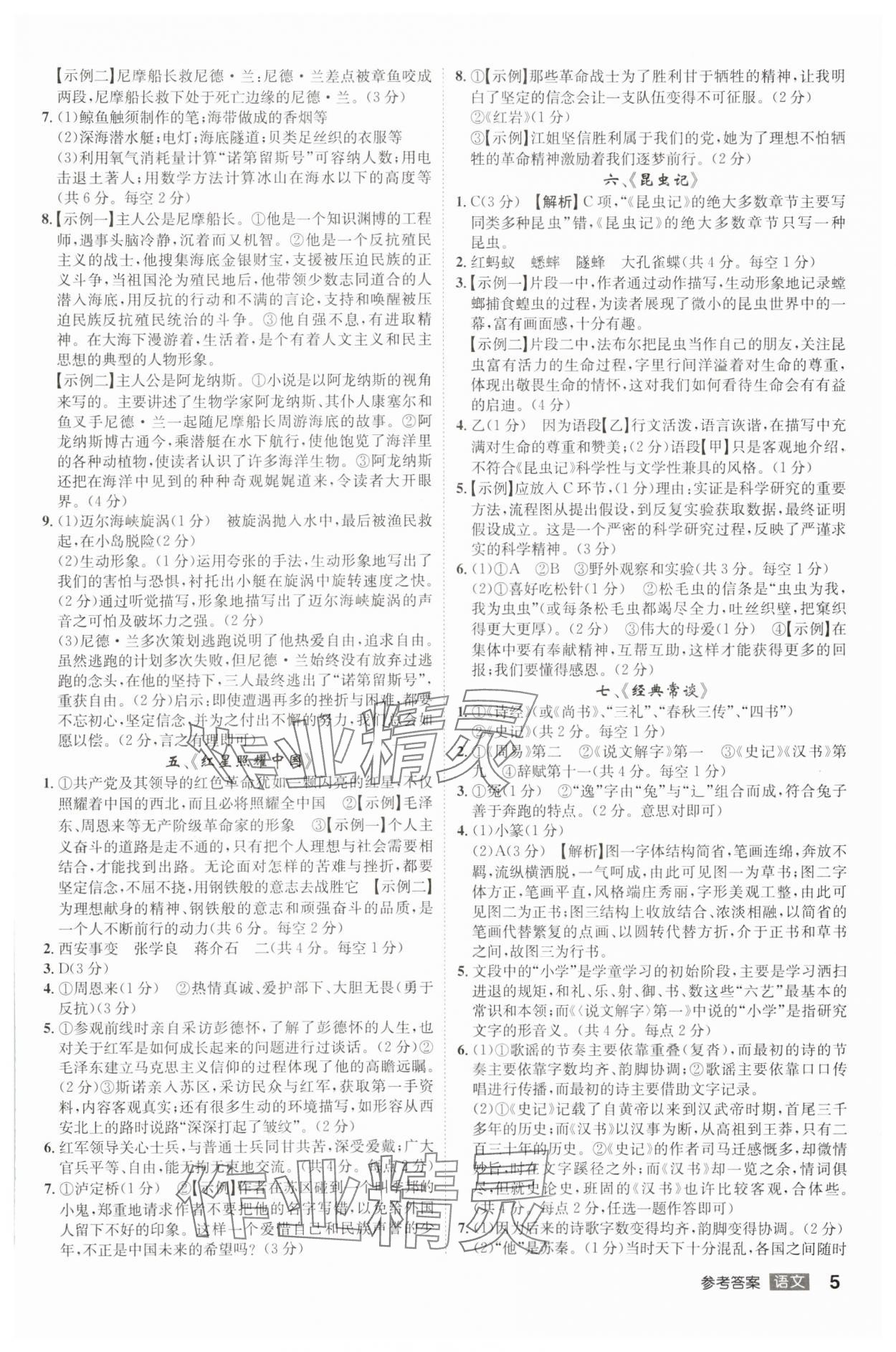 2024年中考总复习名师A计划语文中考 参考答案第5页