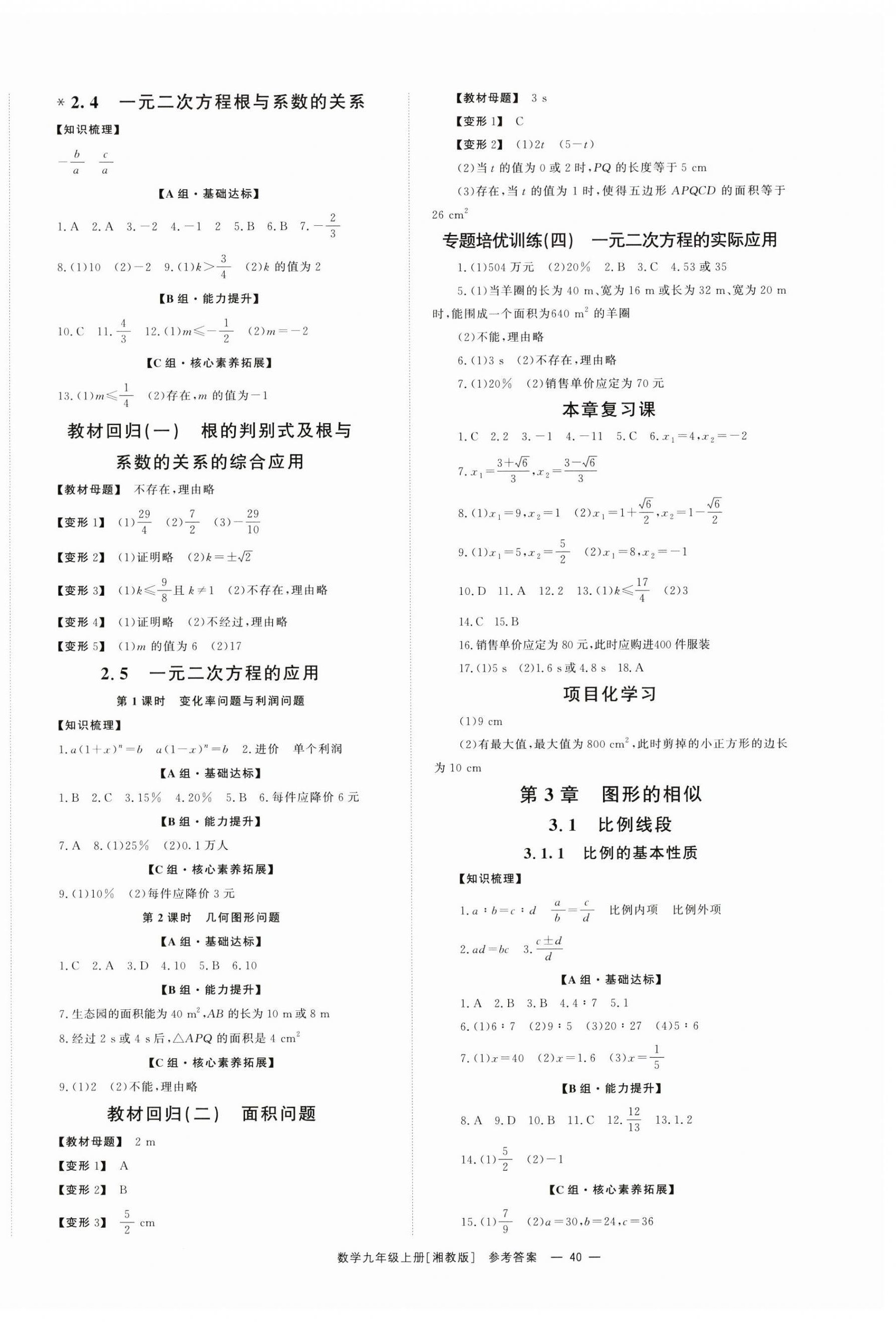 2024年全效學(xué)習(xí)同步學(xué)練測九年級數(shù)學(xué)上冊湘教版 第4頁