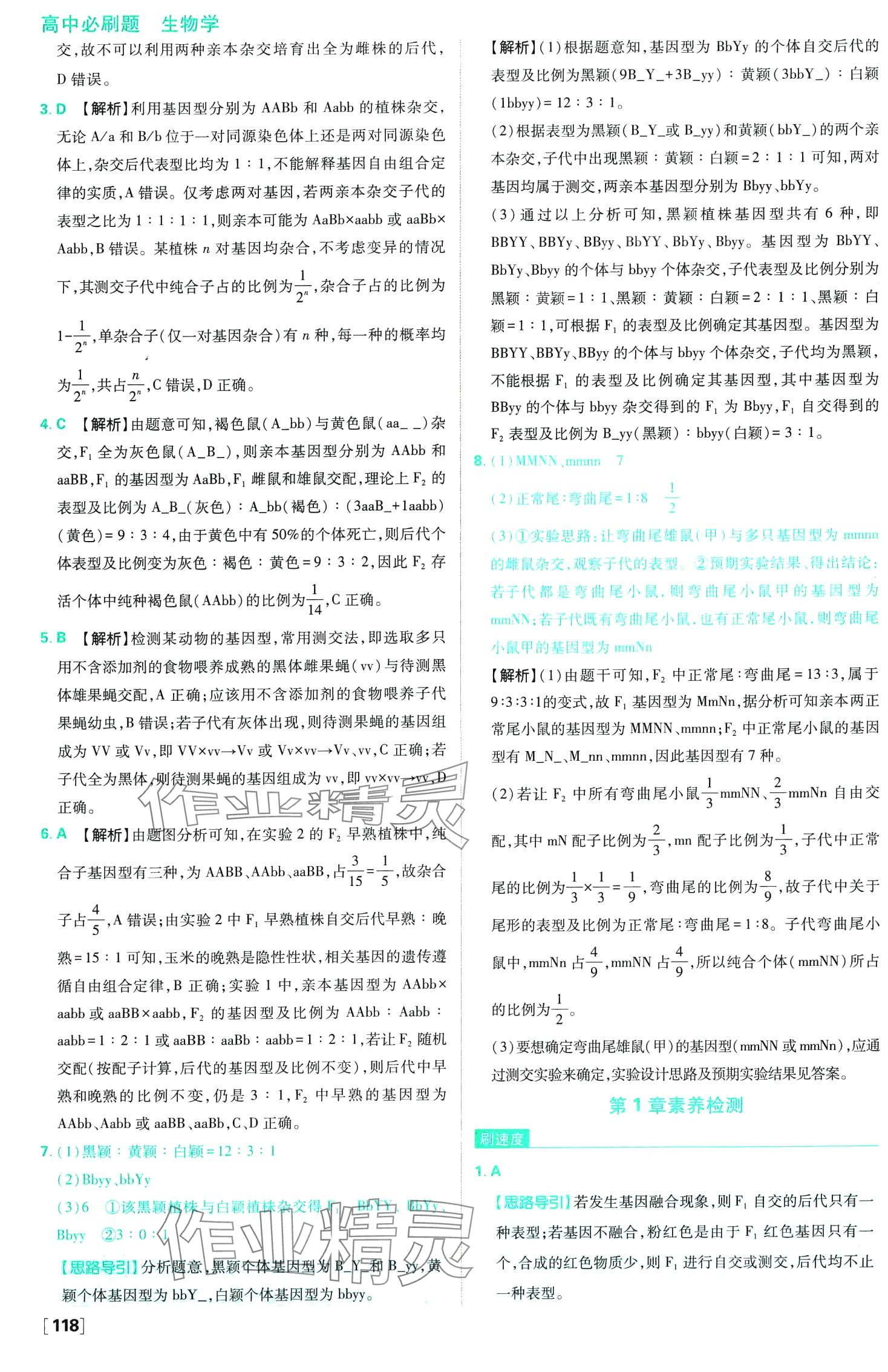 2024年高中必刷题高中生物必修2人教版 第13页