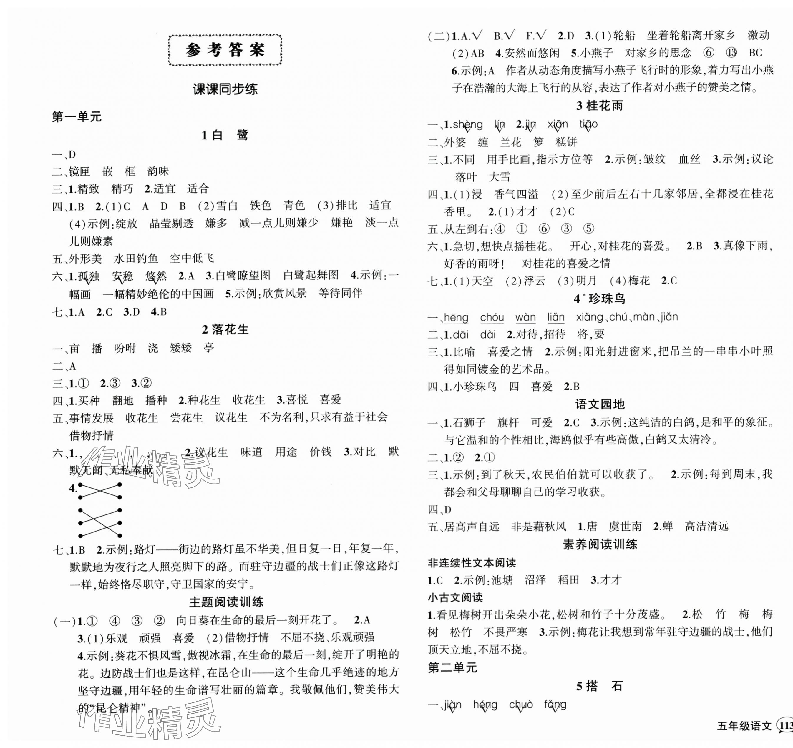 2024年?duì)钤刹怕穭?chuàng)優(yōu)作業(yè)100分五年級(jí)語(yǔ)文上冊(cè)人教版貴州專(zhuān)版 參考答案第1頁(yè)