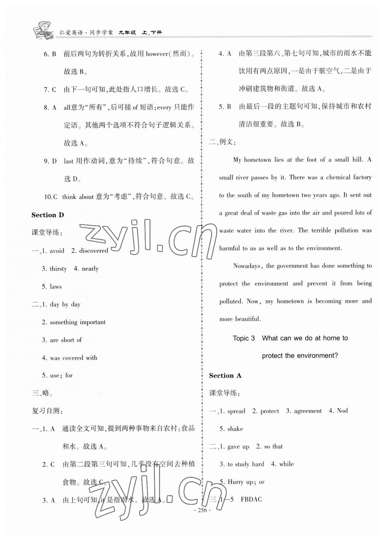 2023年仁爱英语同步学案九年级全一册仁爱版 第13页