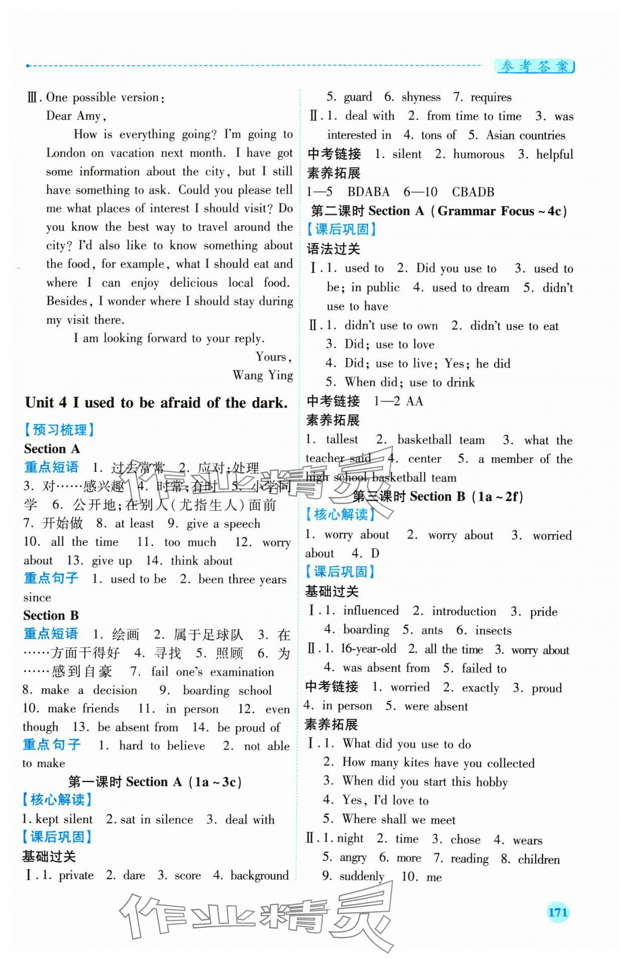 2024年績優(yōu)學案九年級英語全一冊人教版 第5頁