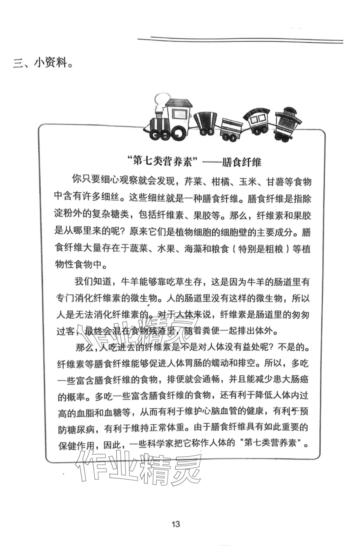 2024年寒假作业长江少年儿童出版社三年级科学人教版 第13页