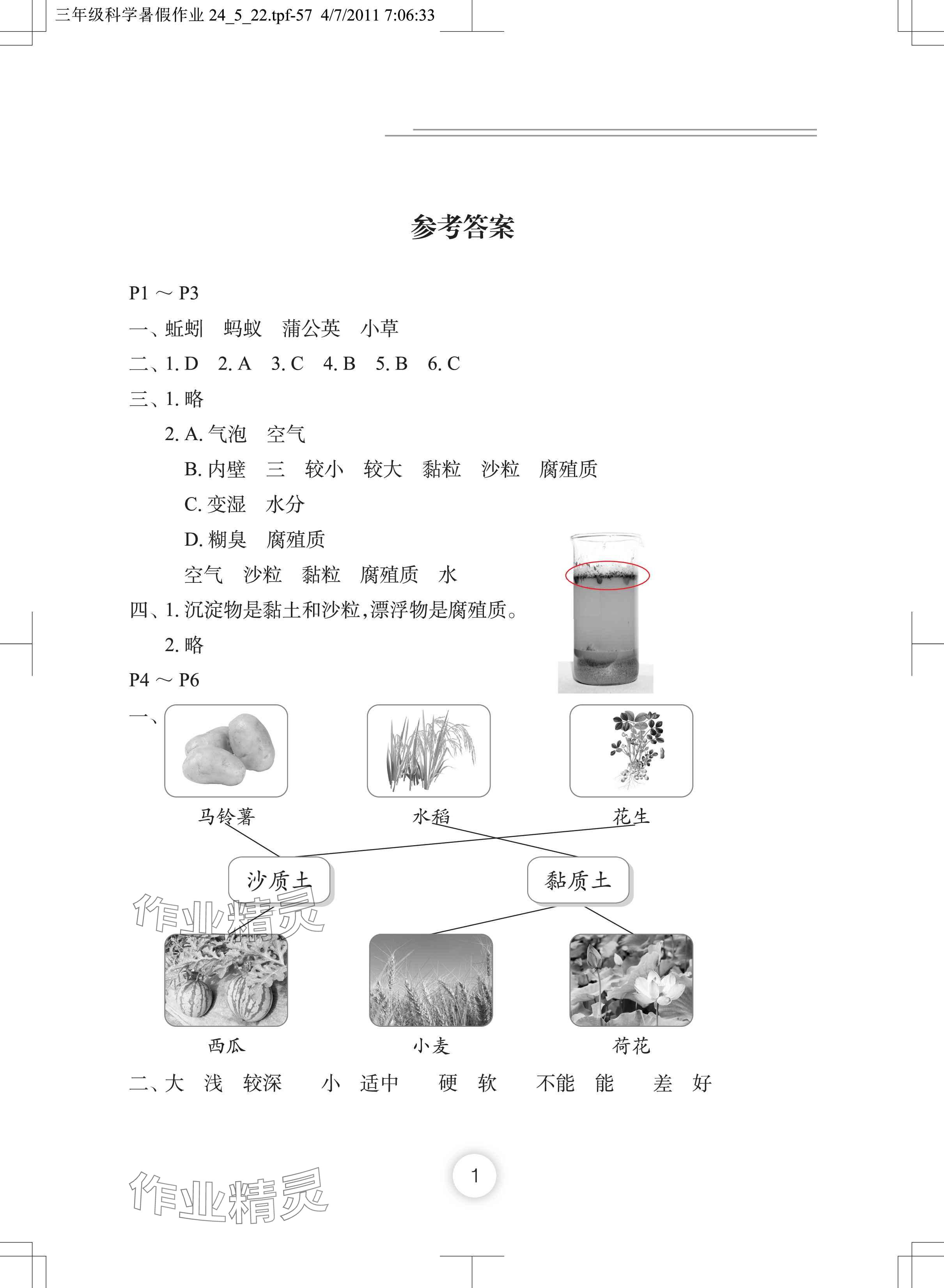 2024年暑假作業(yè)長江少年兒童出版社三年級科學 參考答案第1頁